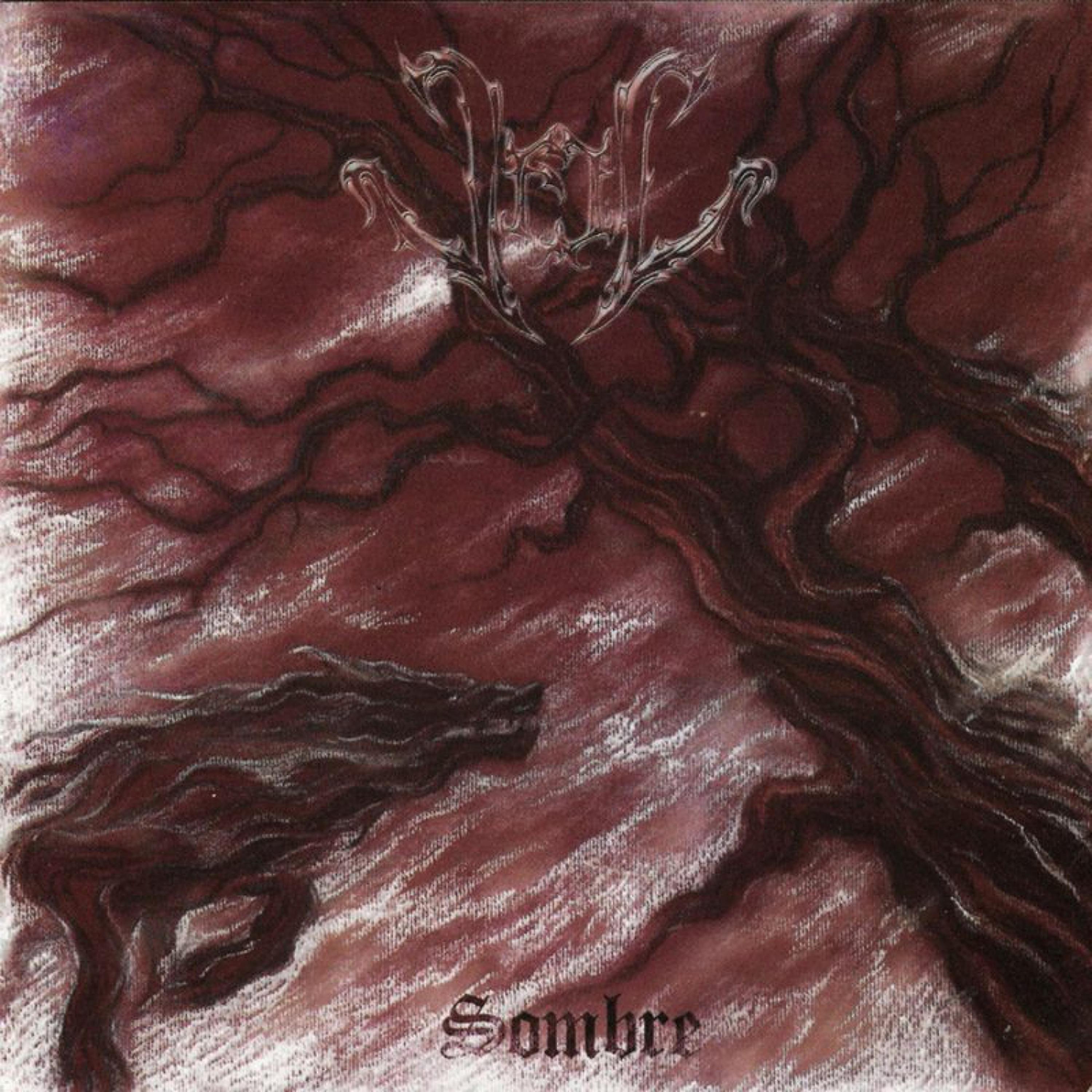 Постер альбома Sombre