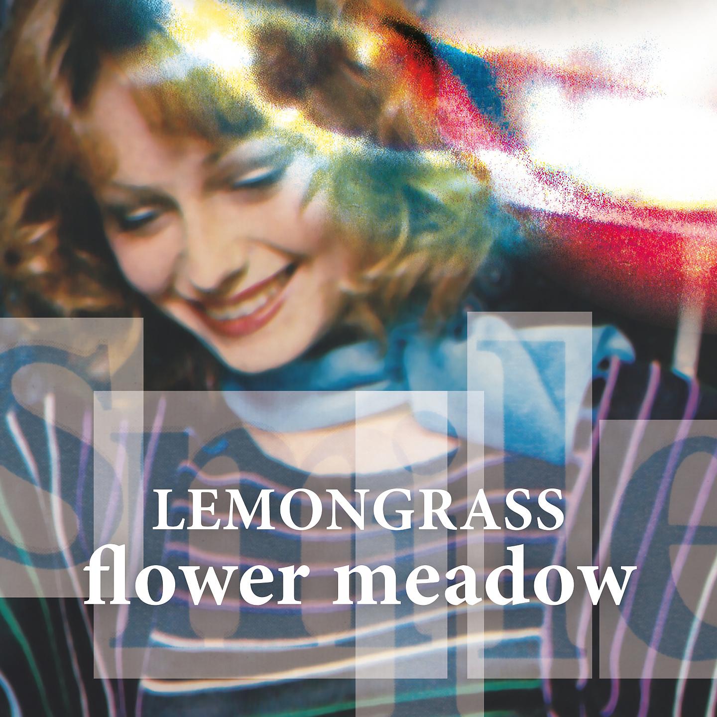 Постер альбома Flower Meadow