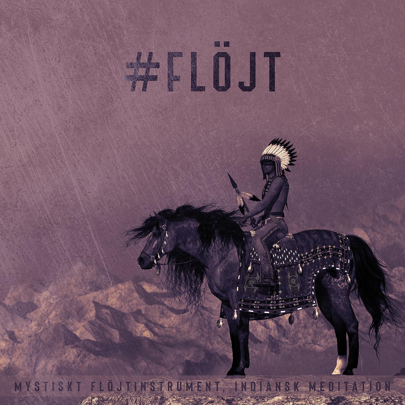 Постер альбома #Flöjt