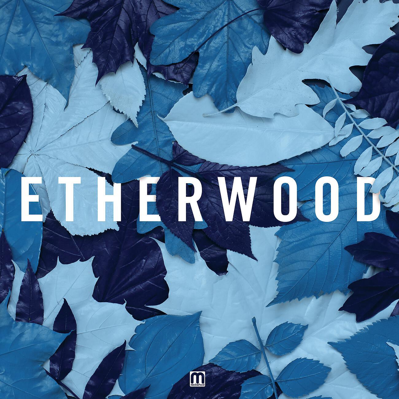 Etherwood - The Last Hour