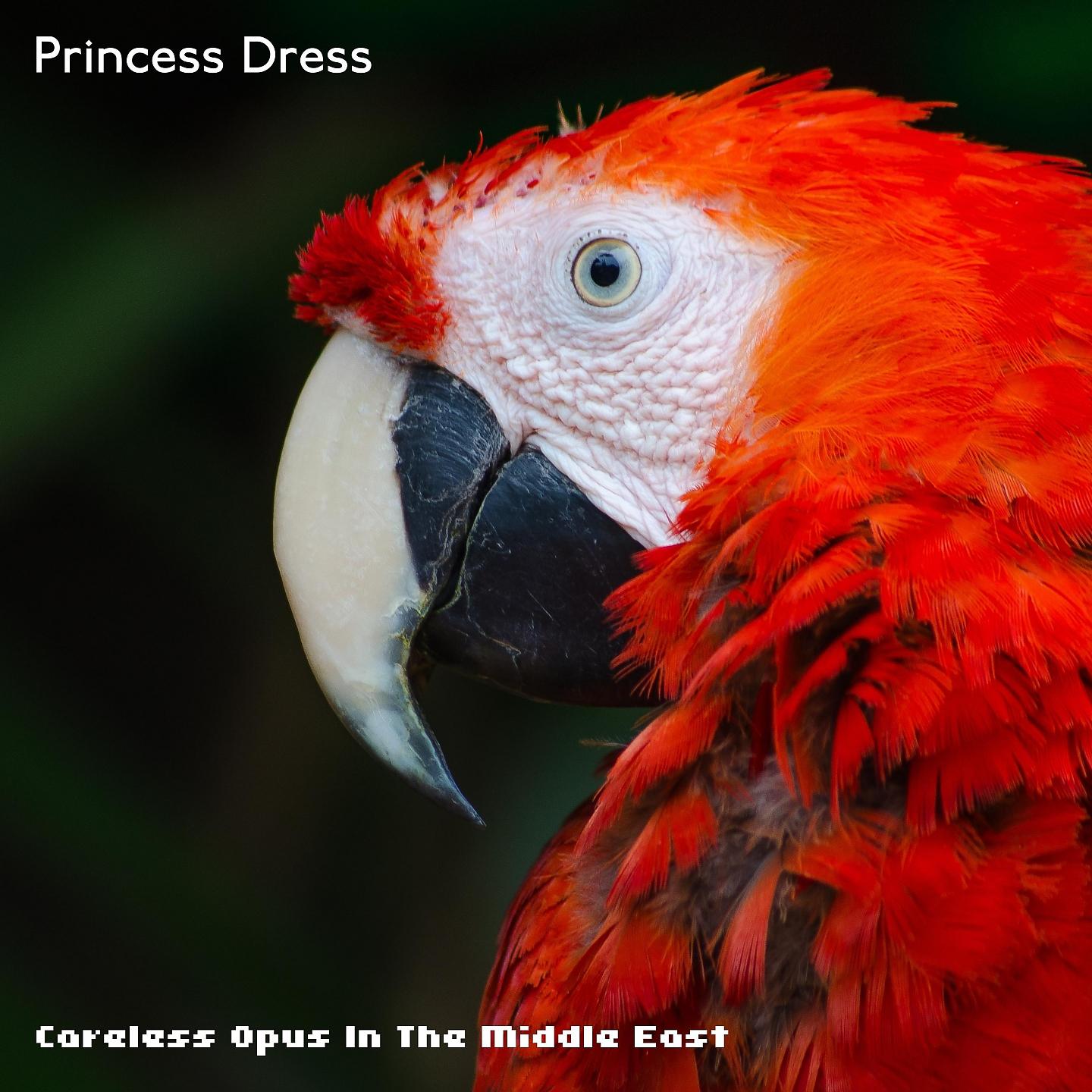 Постер альбома Princess Dress