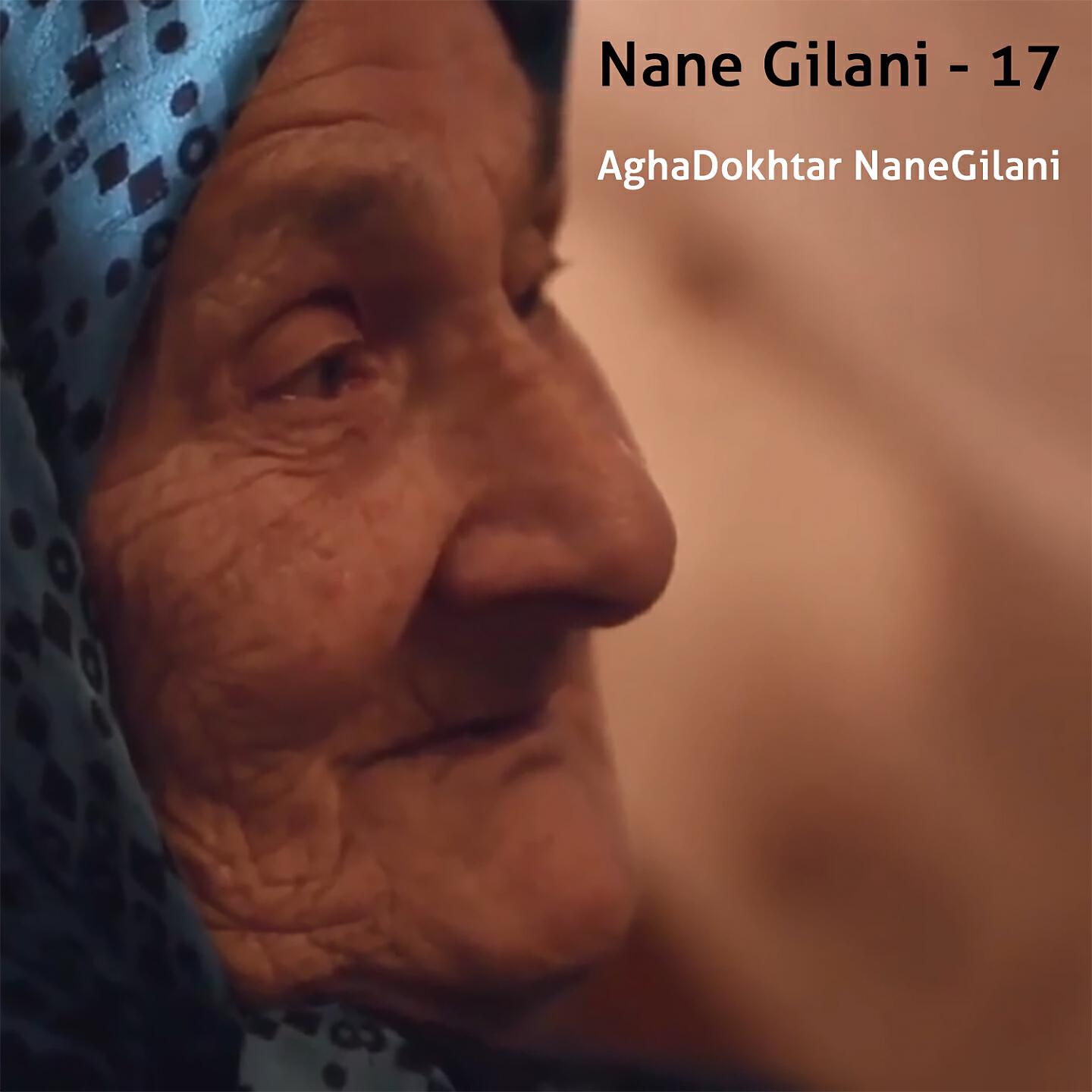 AghaDokhtar NaneGilani - Nane Gilani, Vol. 17