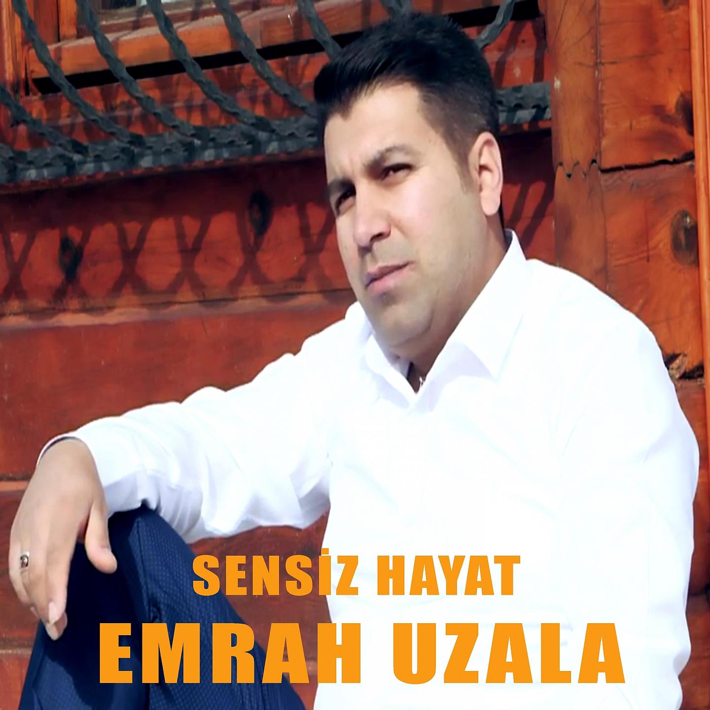 Постер альбома Sensiz Hayat