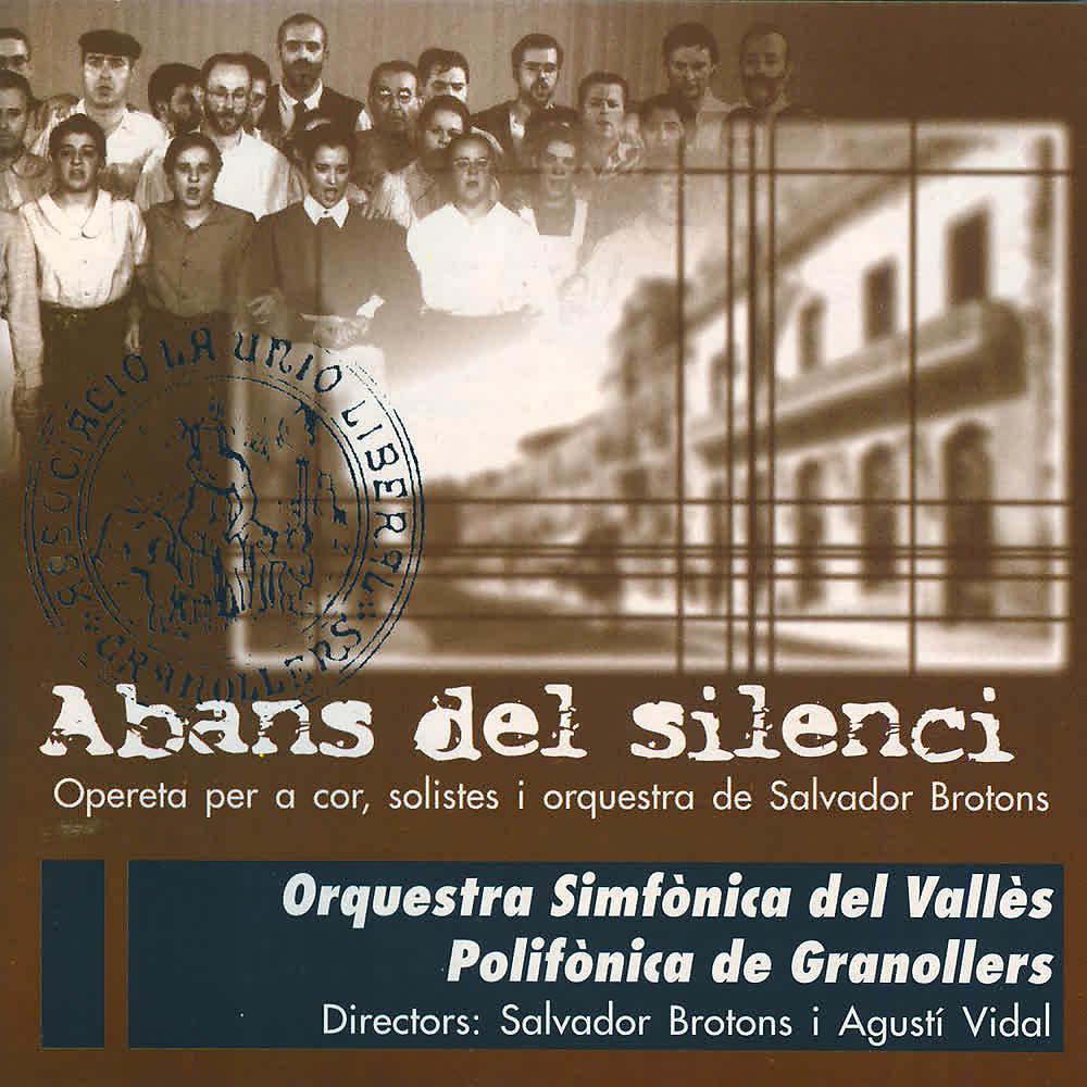 Постер альбома Abans del Silenci