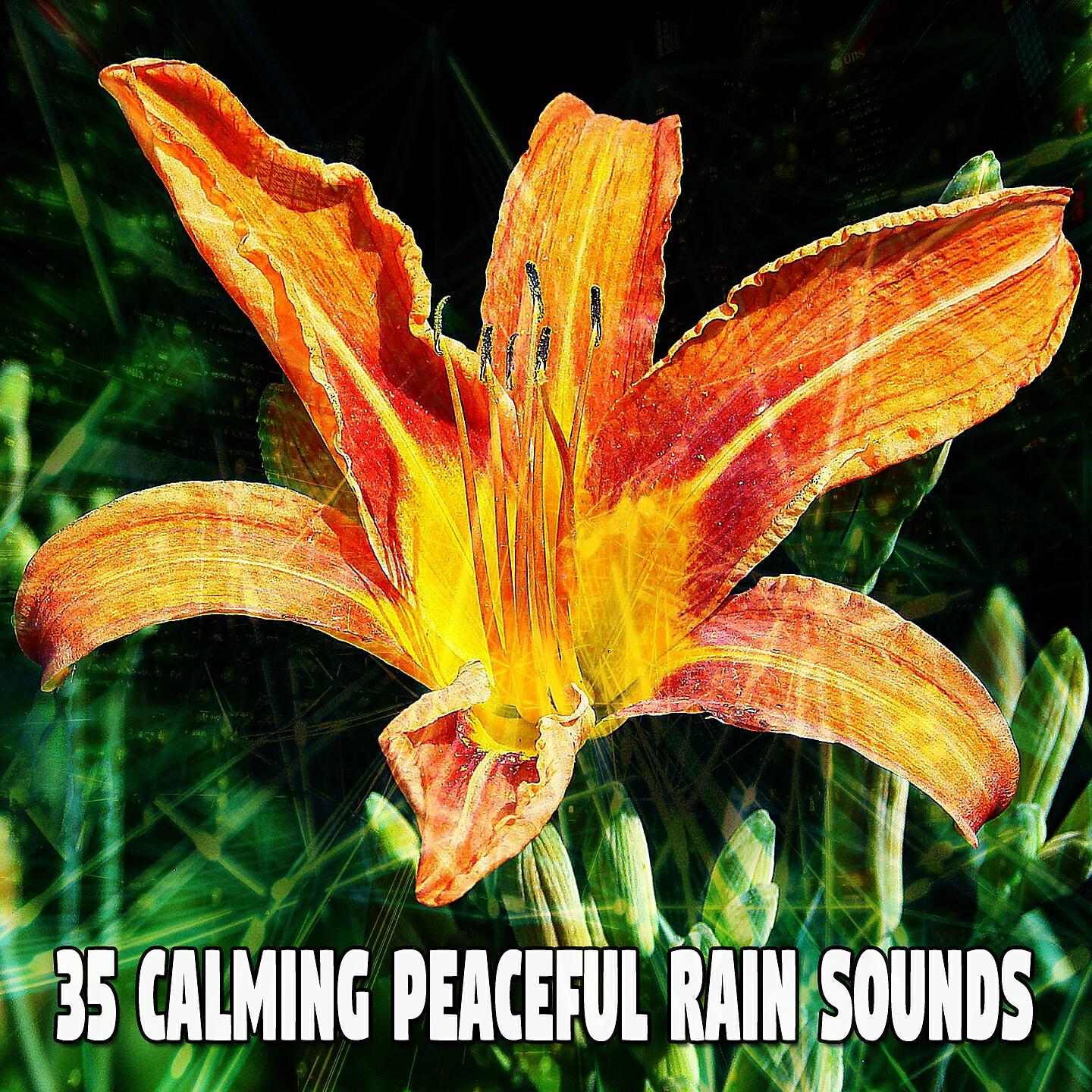 Rain Sounds - Thors Awakening