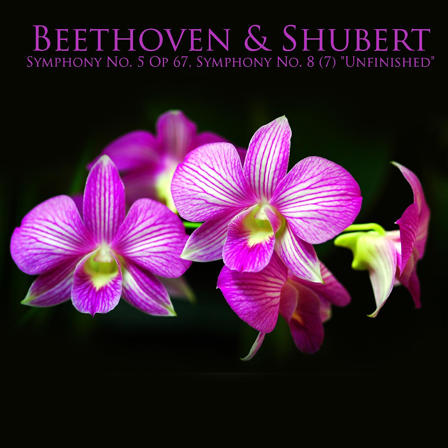 Royal Philarmonic Orchestra - Symphony No. 5 in C Minor: III. Allegro