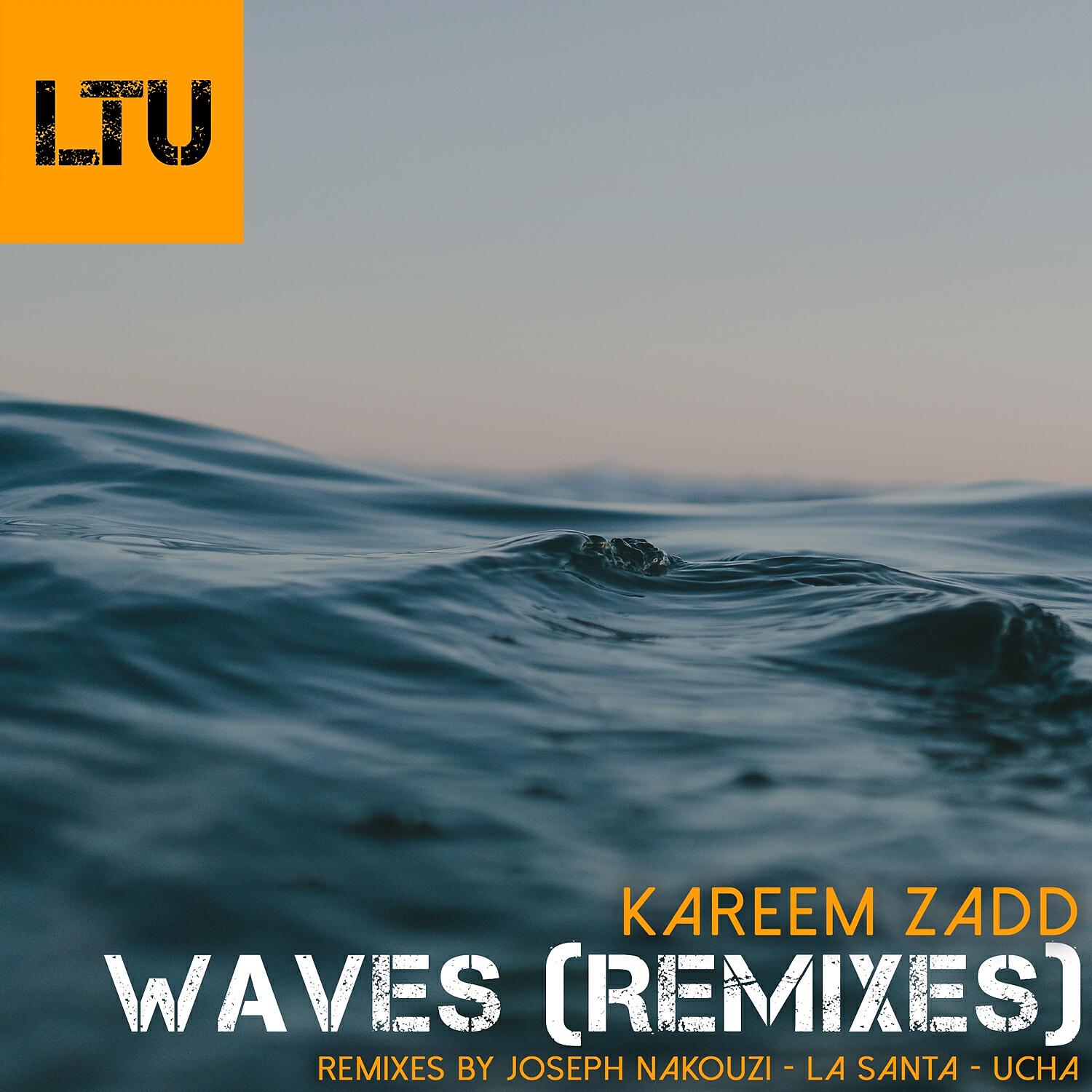 Kareem Zadd - Waves (Ucha Remix)