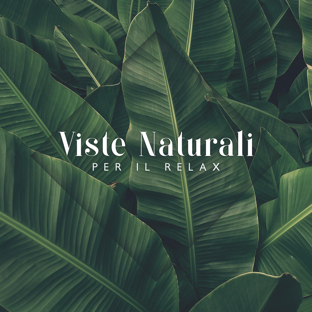 Постер альбома Viste Naturali per Il Relax