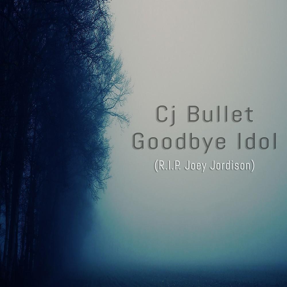 Постер альбома Goodbye Idol