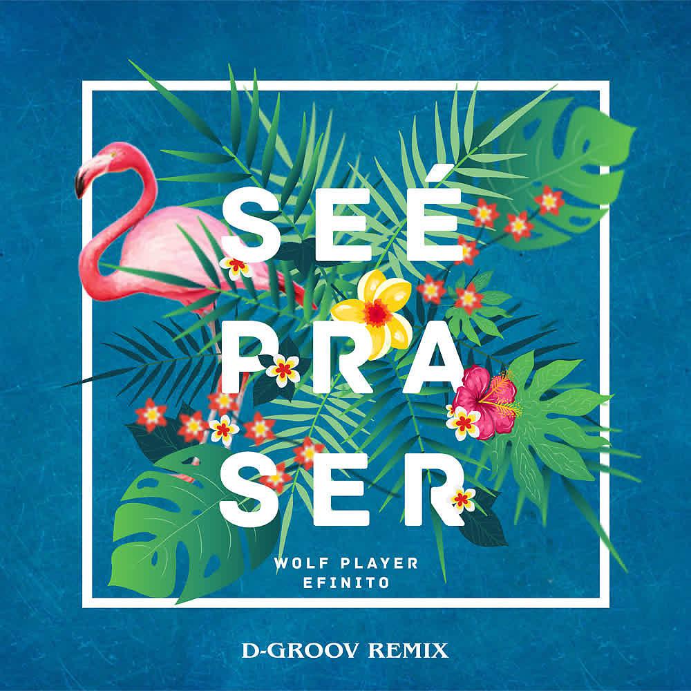 Постер альбома Se É Pra Ser (D-Groov Remix)