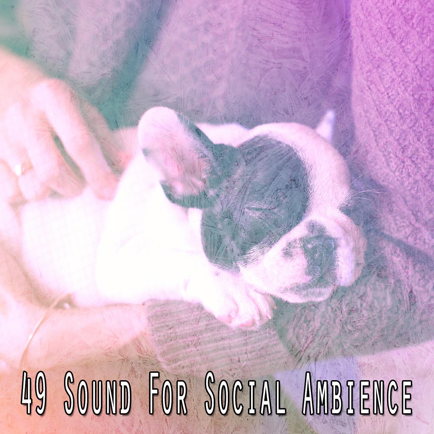 Serenity Spa Music Relaxation - Extinguishing the Insomniacs Anguish