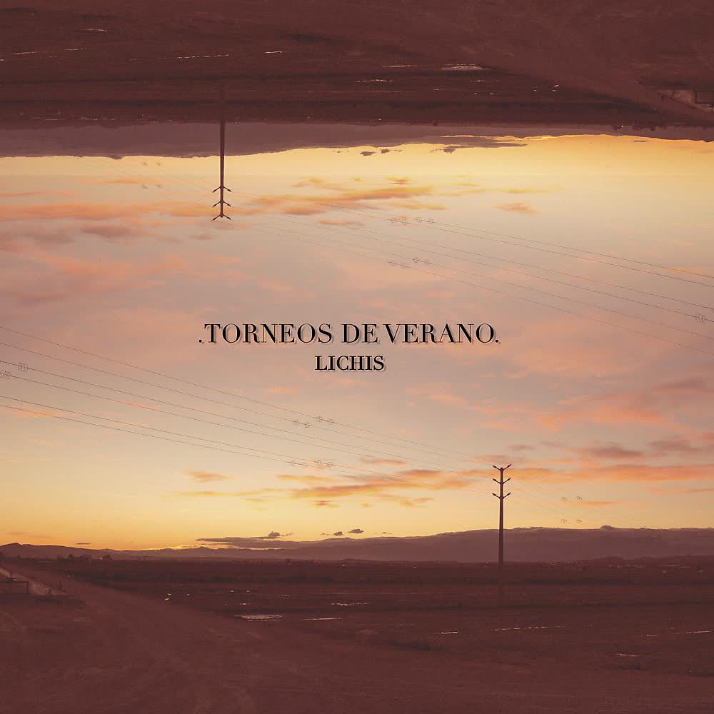 Постер альбома Torneos de Verano