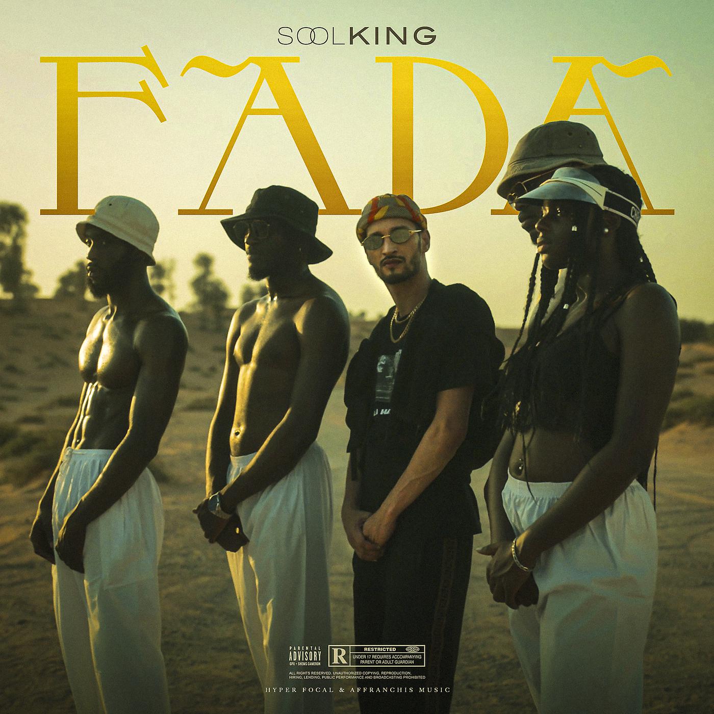Постер альбома Fada