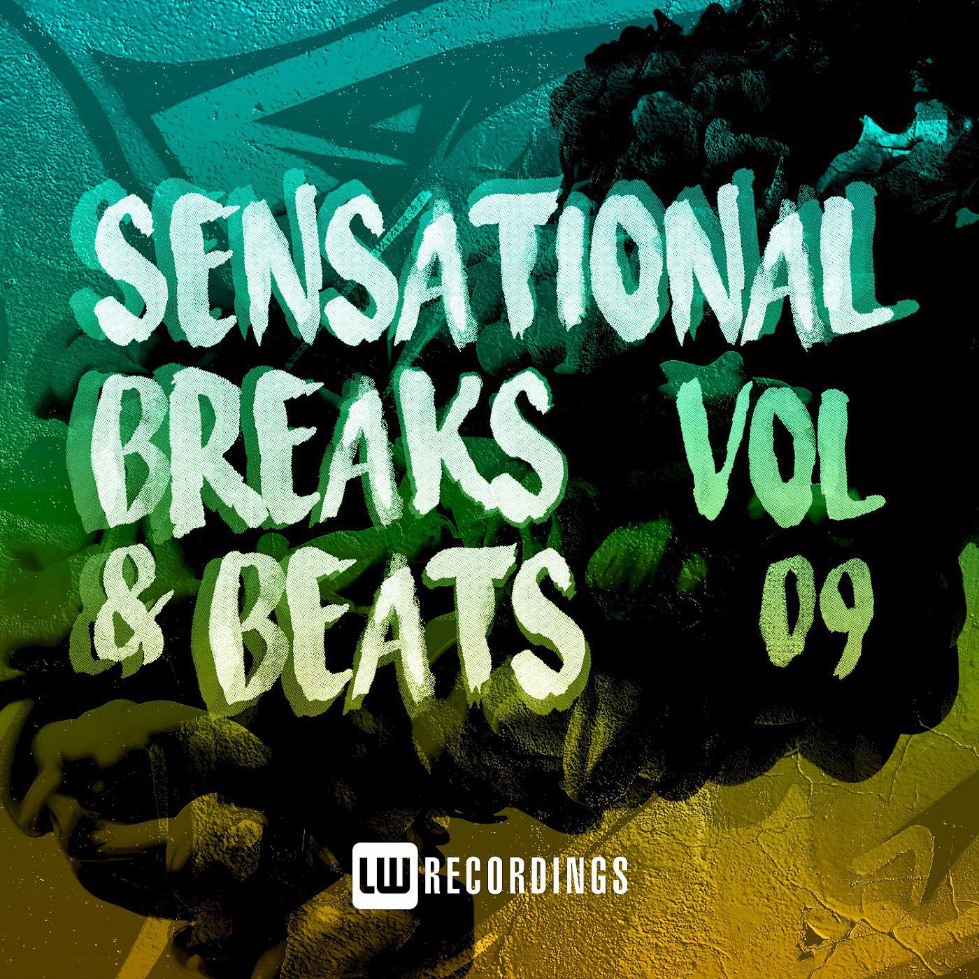 Постер альбома Sensational Breaks & Beats, Vol. 09