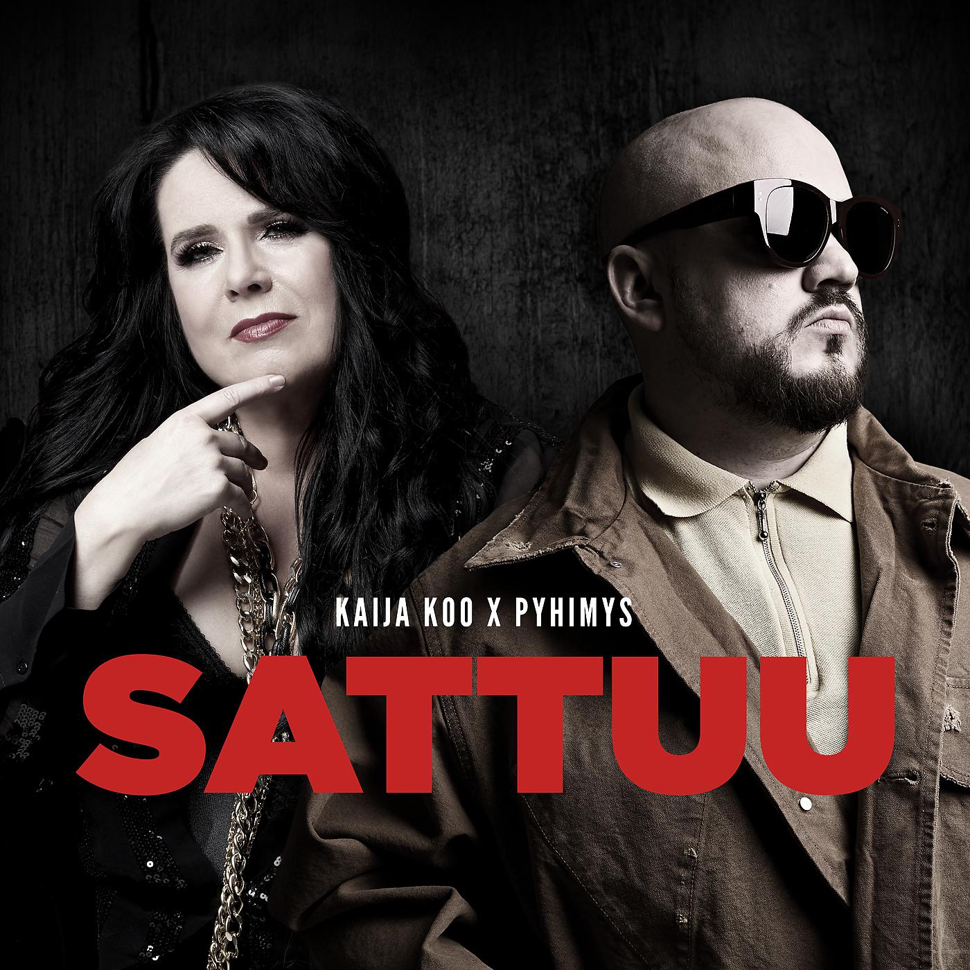 Постер альбома Sattuu