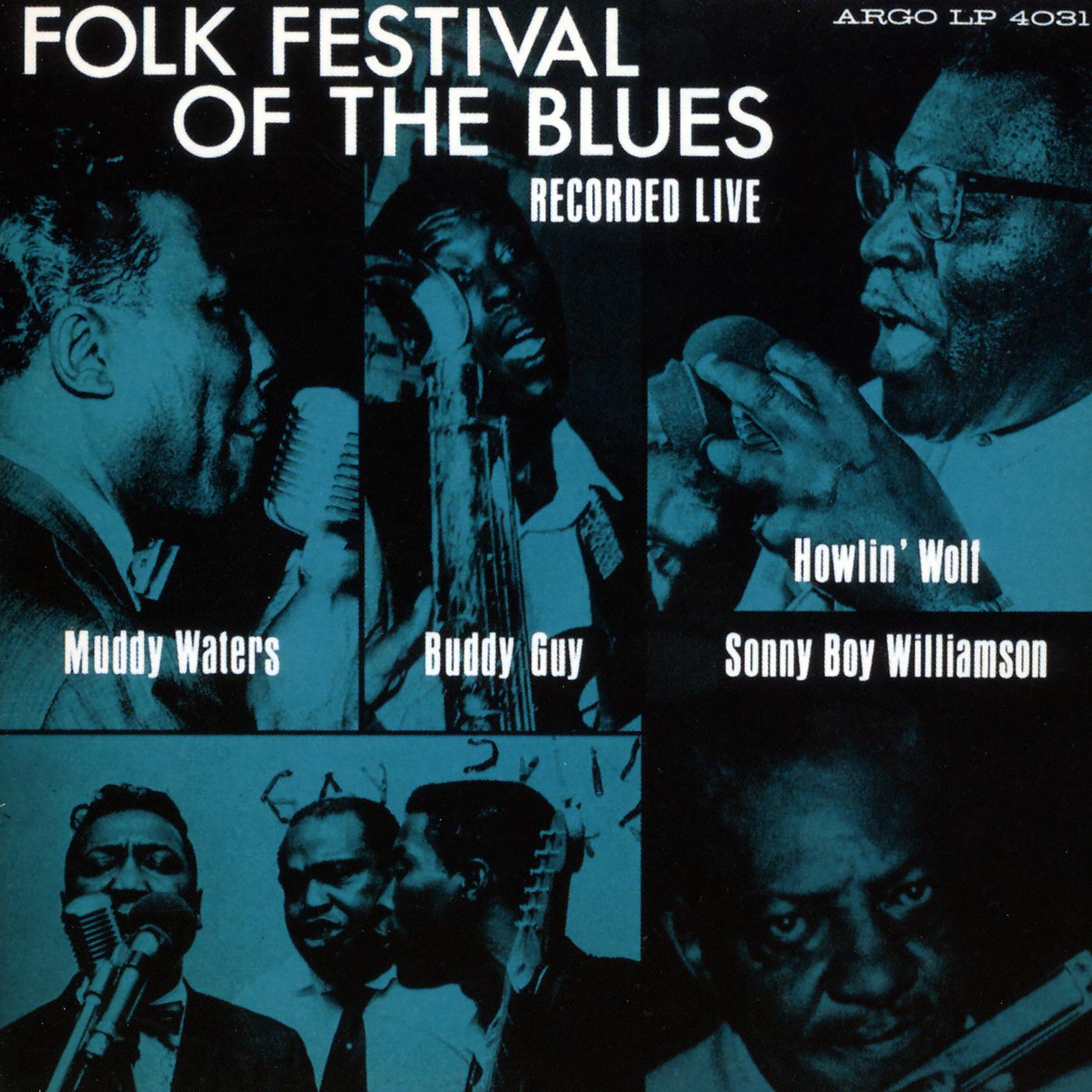 Постер альбома Folk Festival Of The Blues