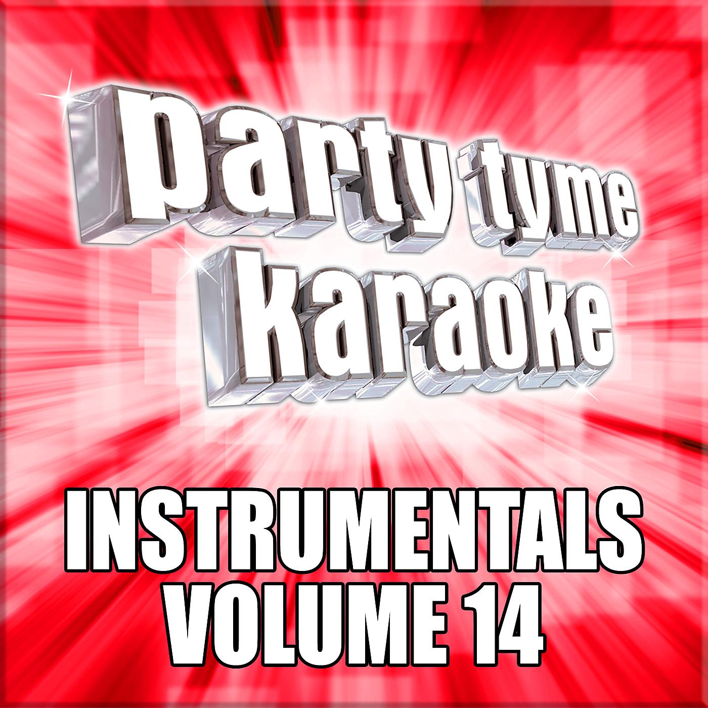 Постер альбома Party Tyme Karaoke - Instrumentals 14