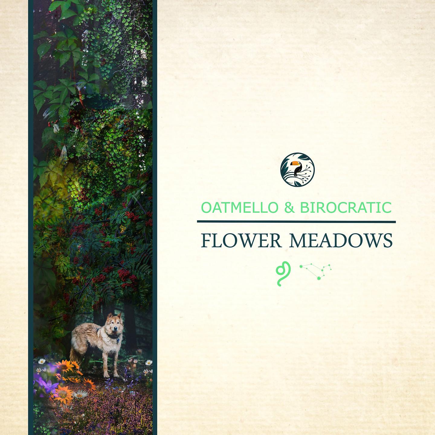 Постер альбома Flower Meadows