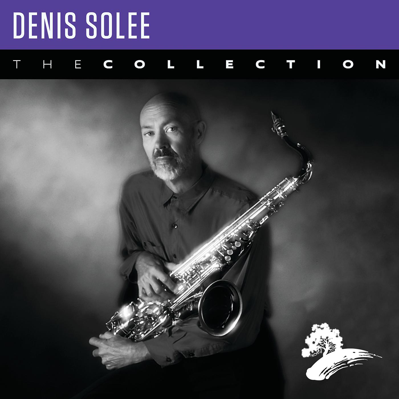 Постер альбома Denis Solee: The Collection