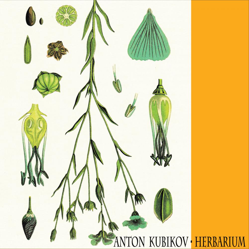 Постер альбома Herbarium Part One