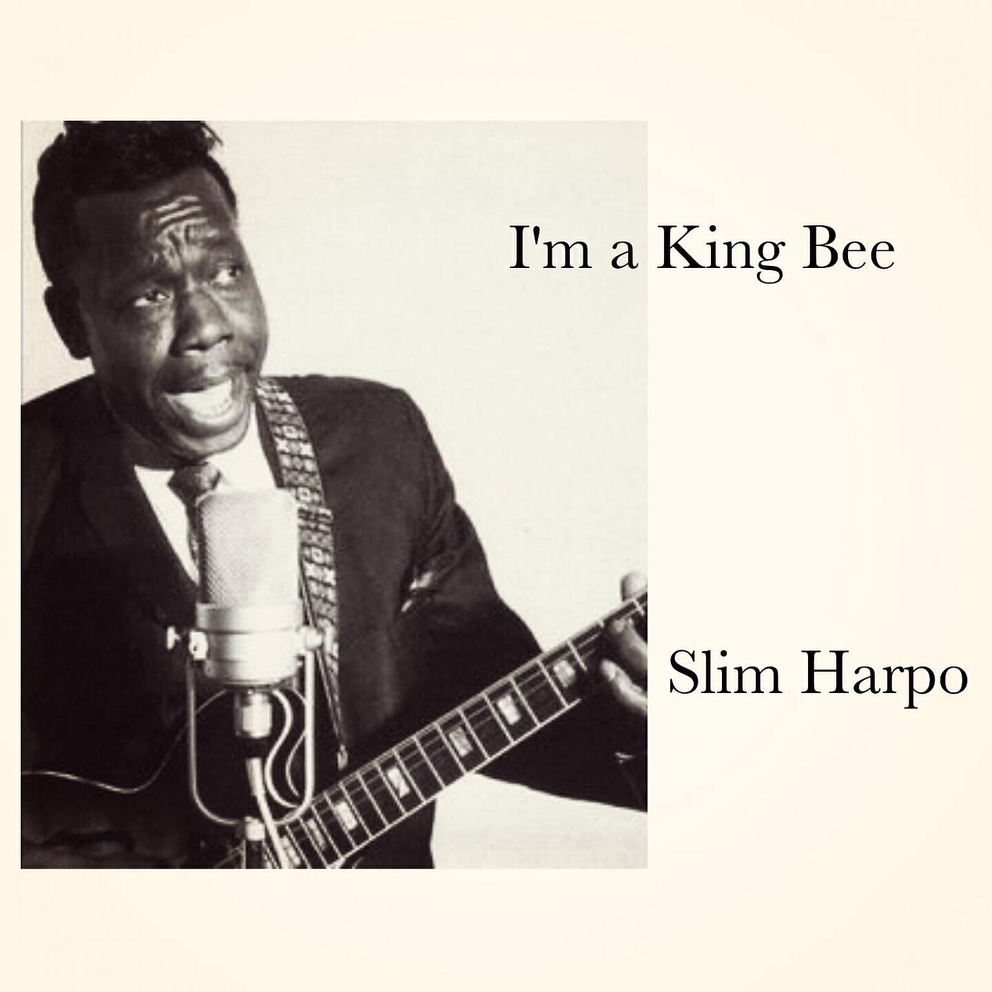Slim Harpo - Don't Start Cryin' Now