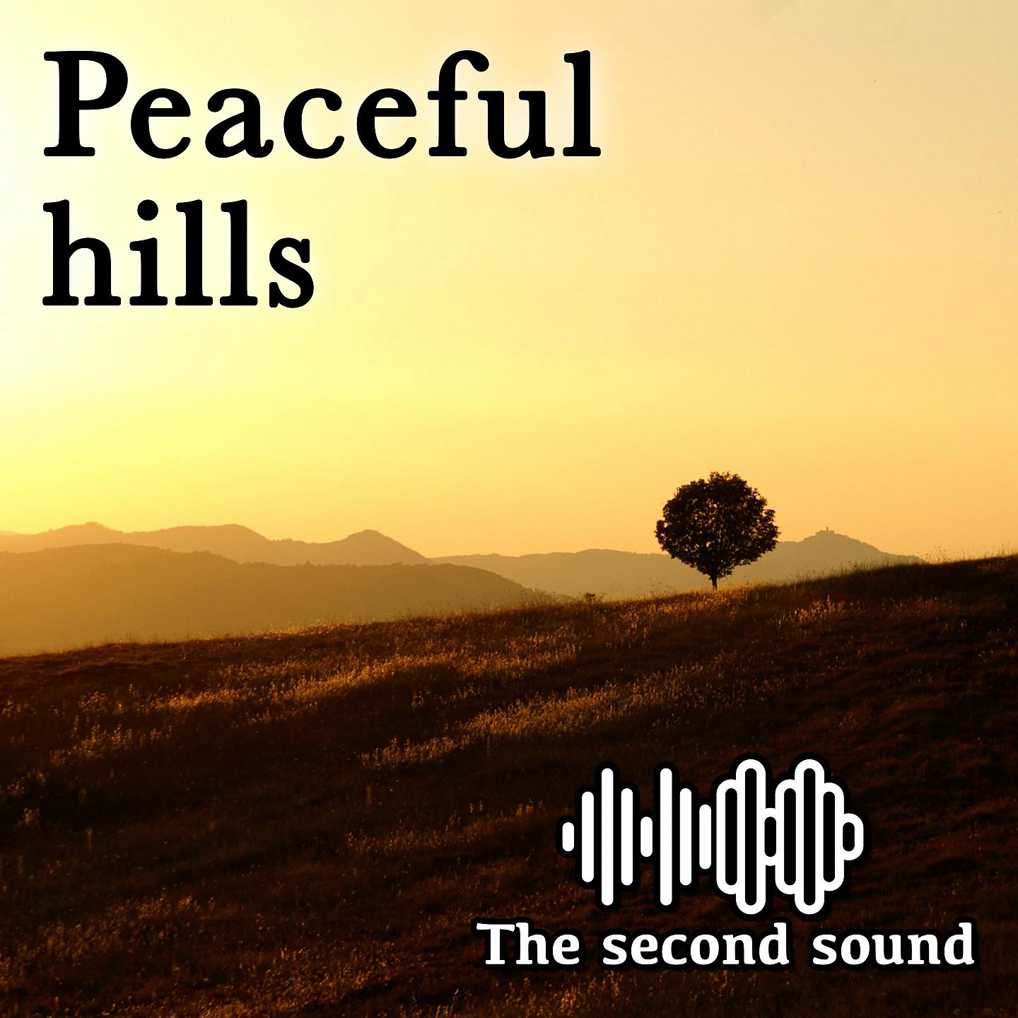 Постер альбома Peaceful Hills