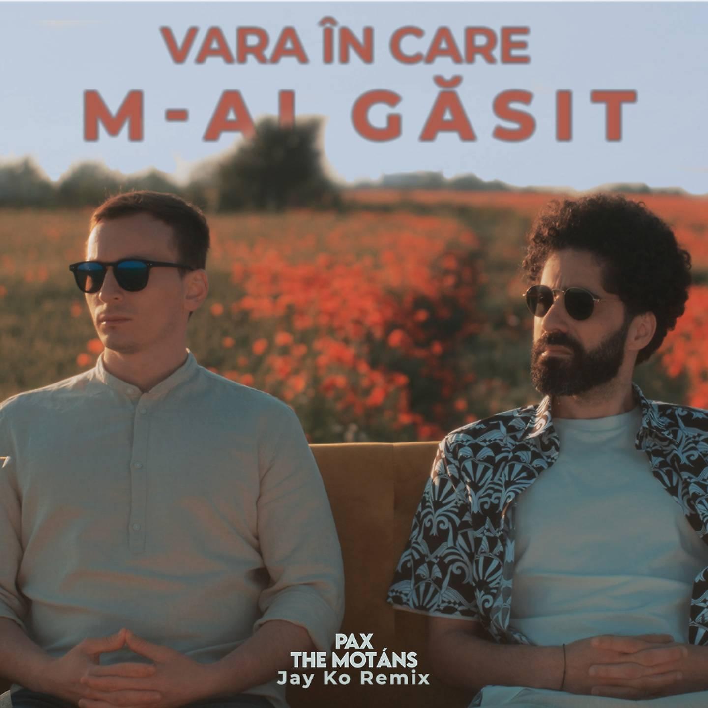 Постер альбома Vara În Care M-Ai Găsit