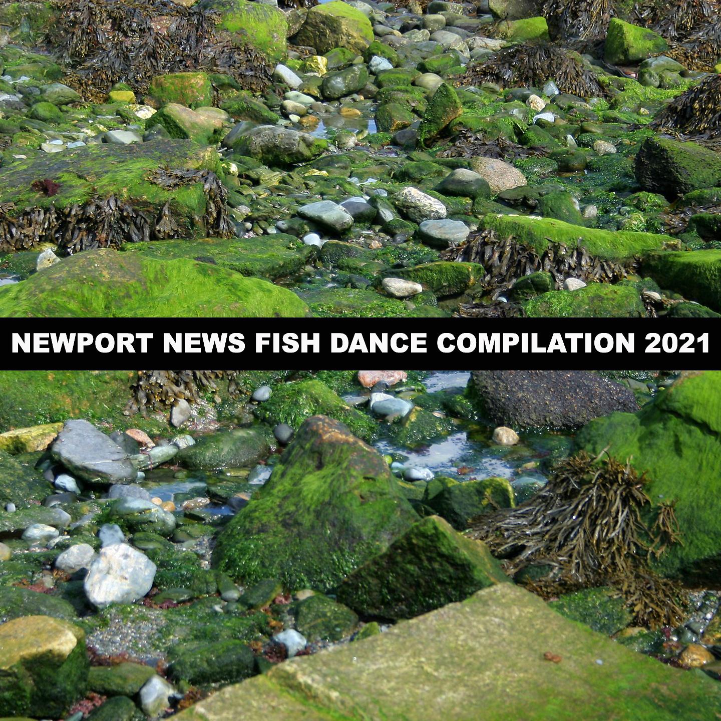 Постер альбома NEWPORT NEWS FISH DANCE COMPILATION 2021