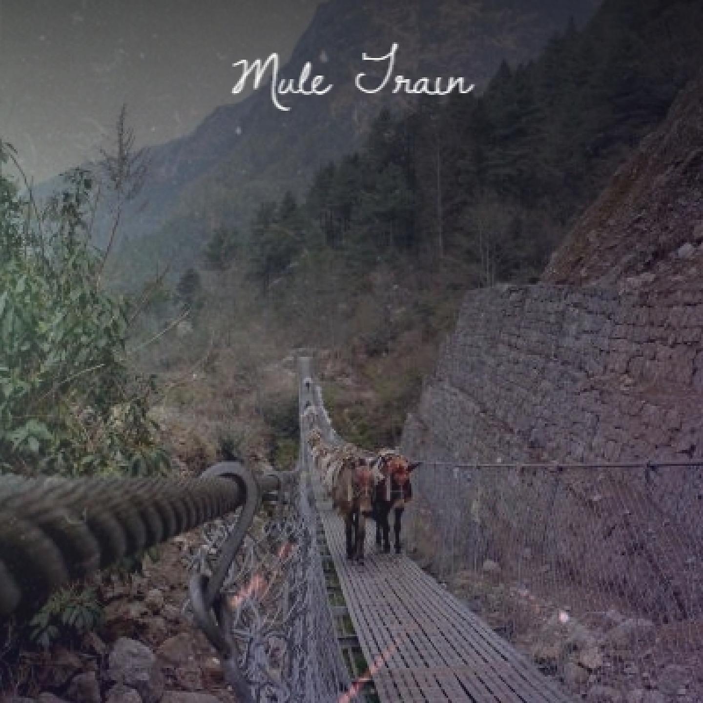 Постер альбома Mule Train