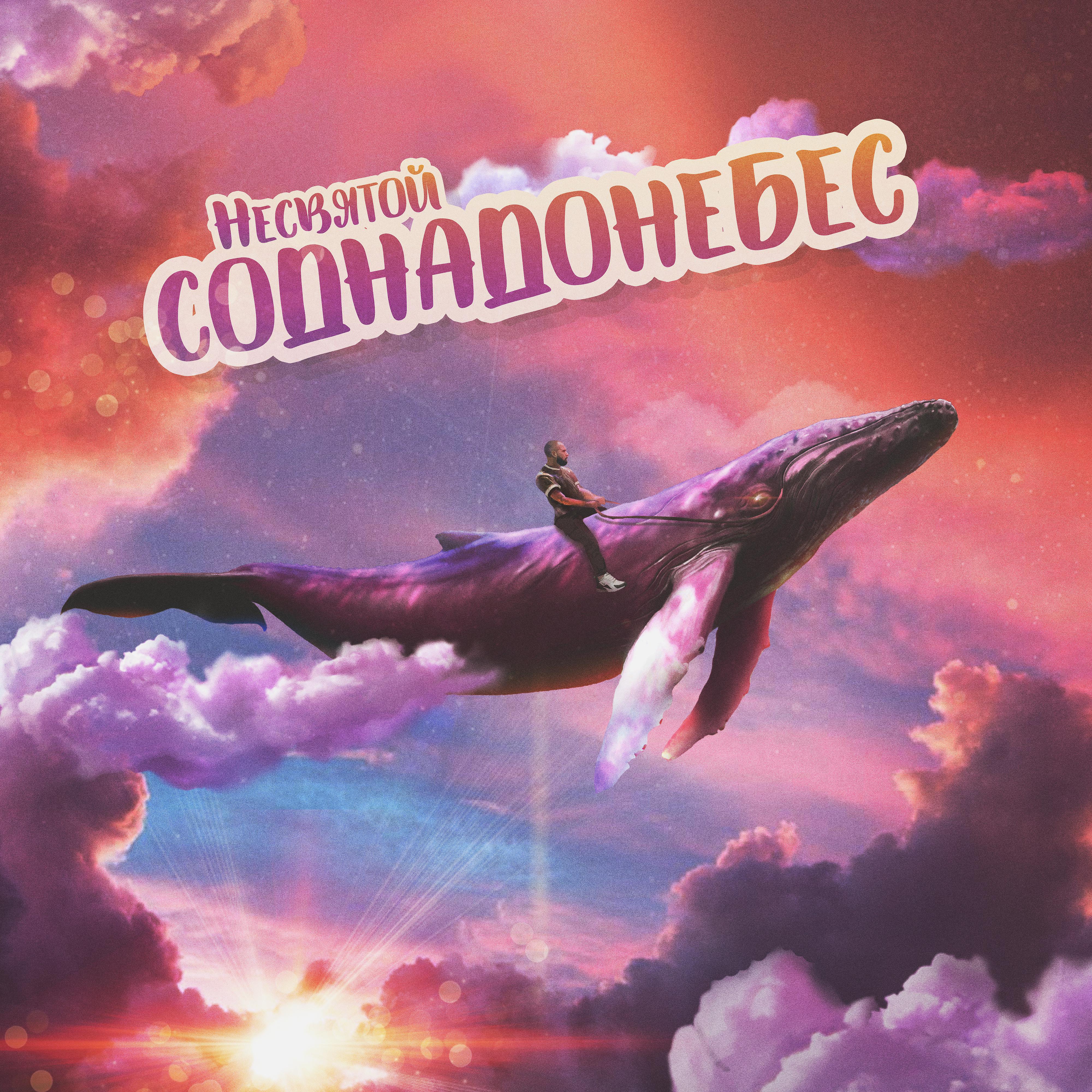 Постер альбома Соднадонебес