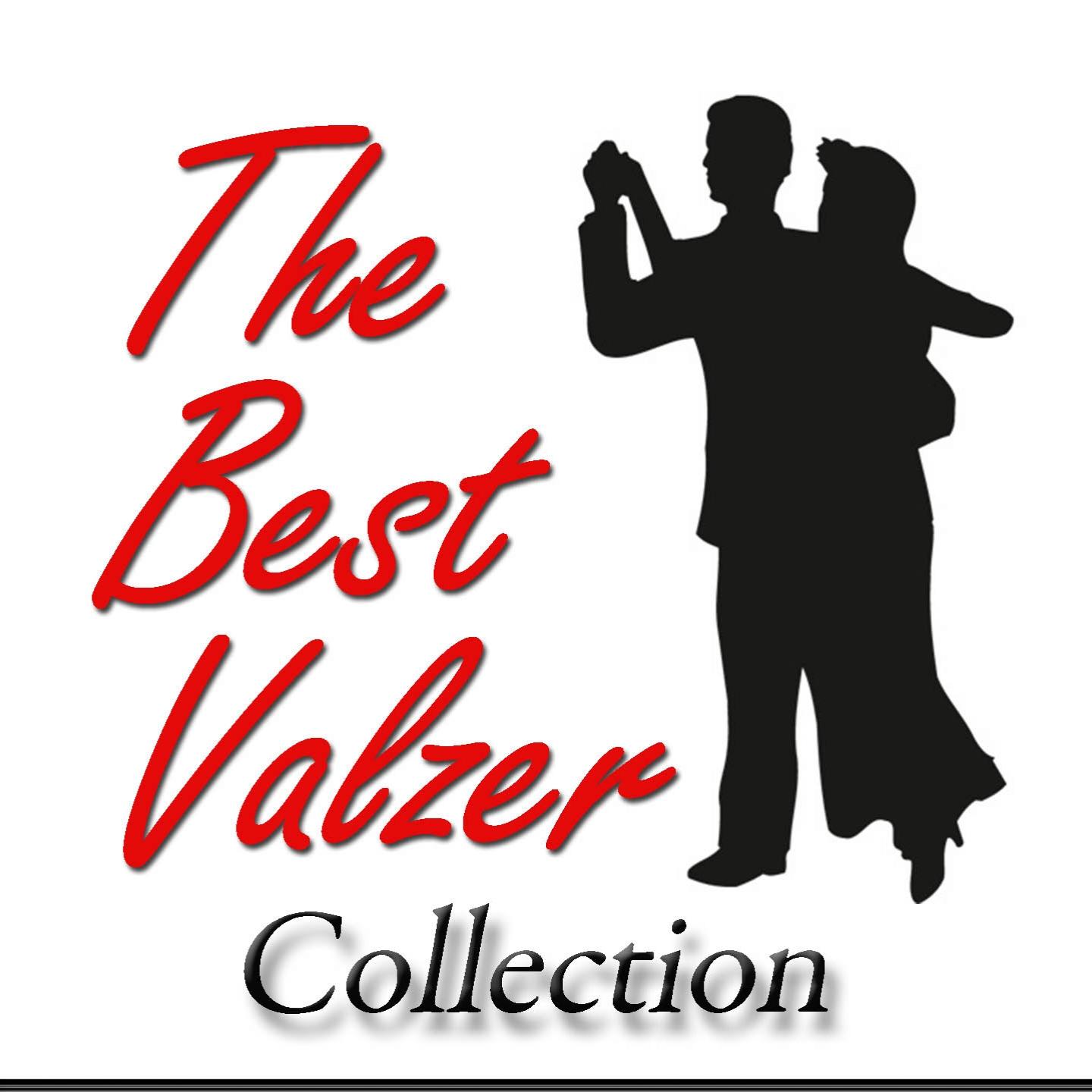 Постер альбома The Best Valzer Collection