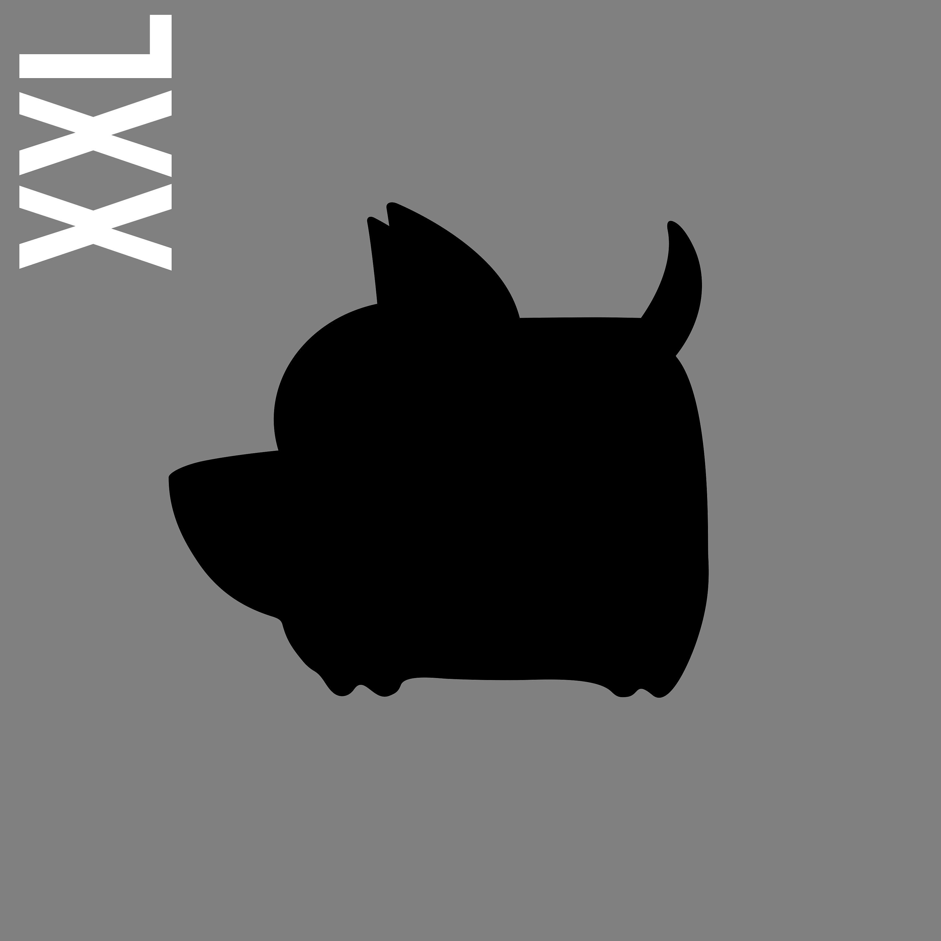Постер альбома Xxl
