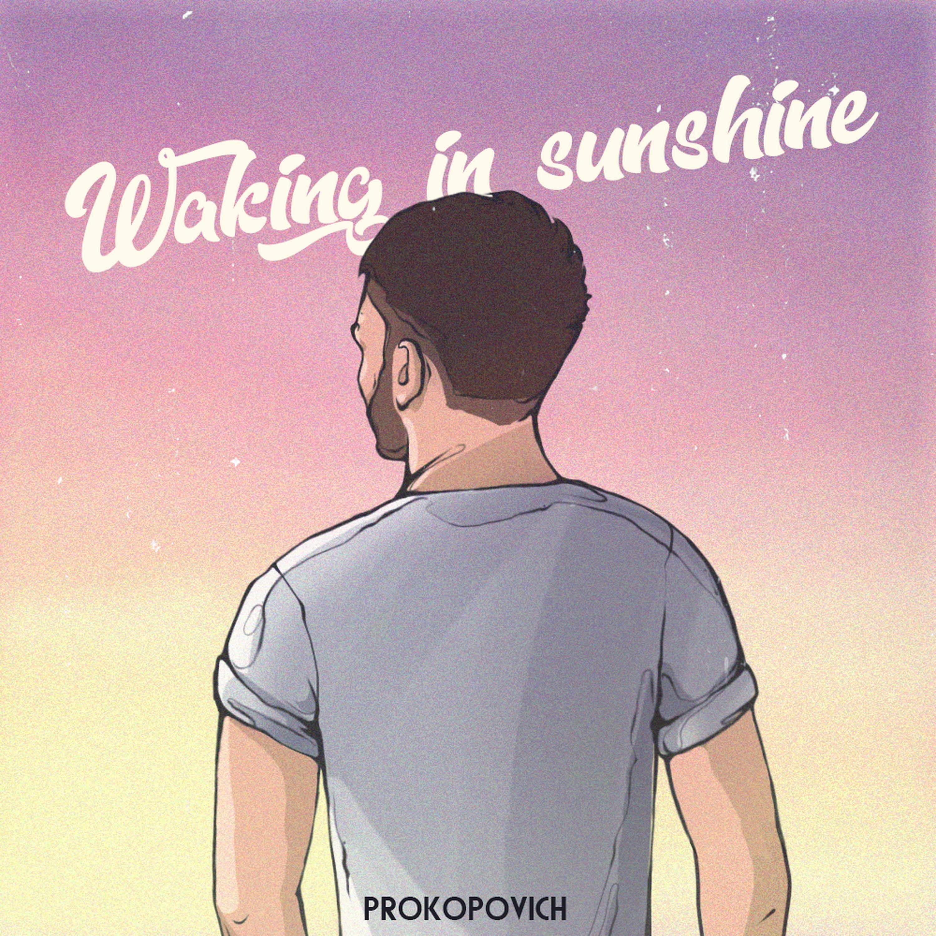 Постер альбома Waking in Sunshine