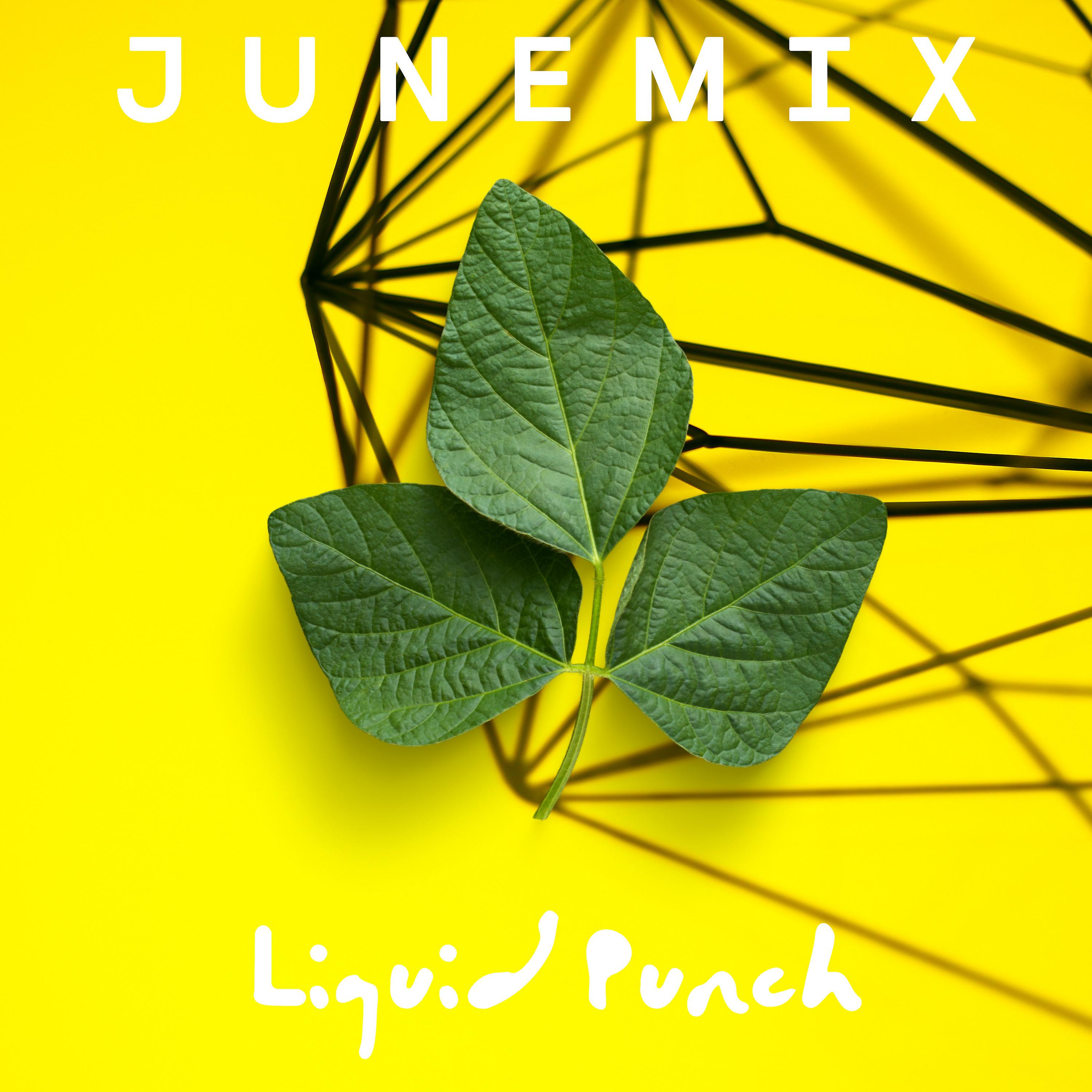 Постер альбома Liquid Punch