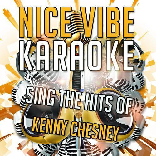 Nice Vibe - She's Got It All (Karaoke Version) (Originally Performed By Kenny Chesney)