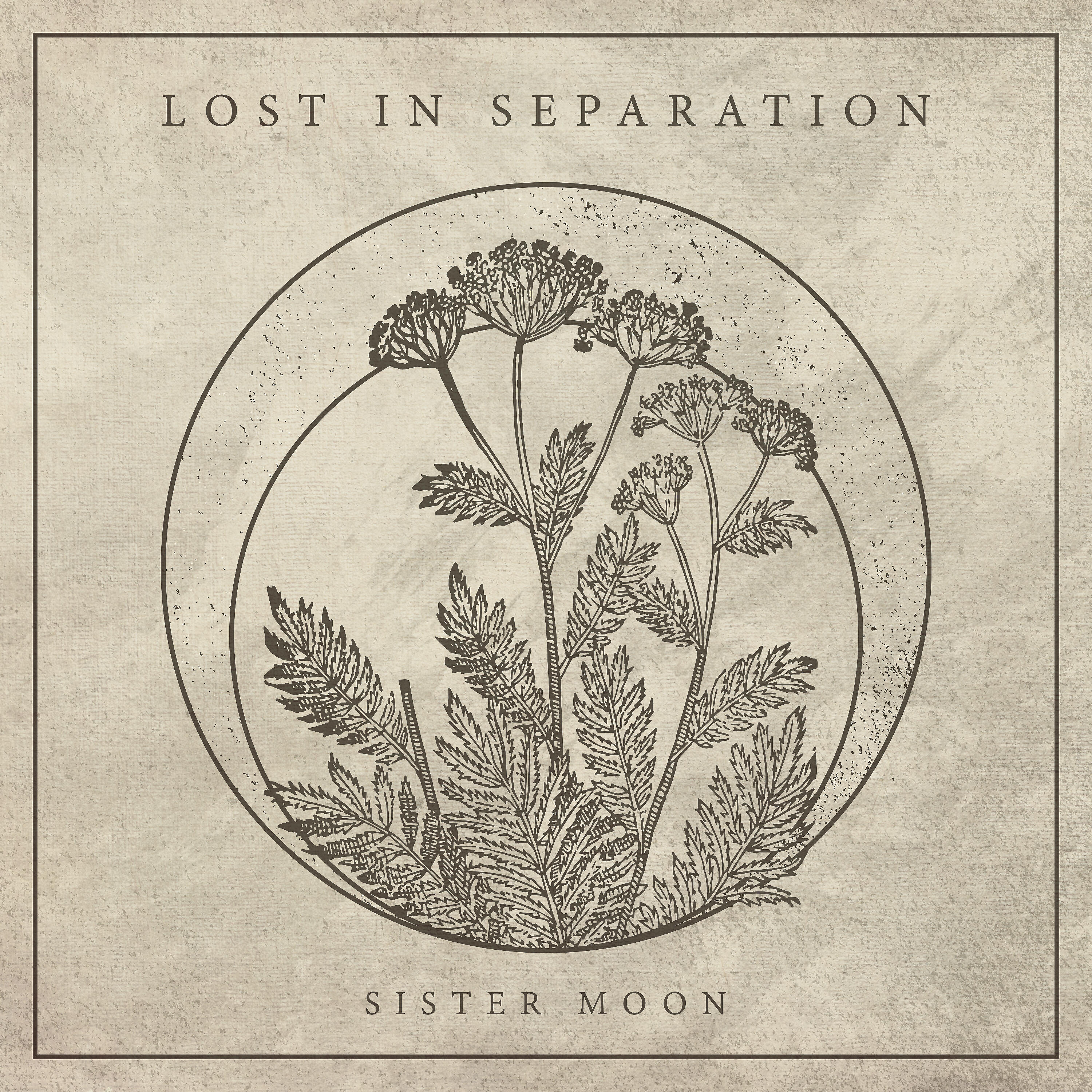 Lost In Separation - Deathwish