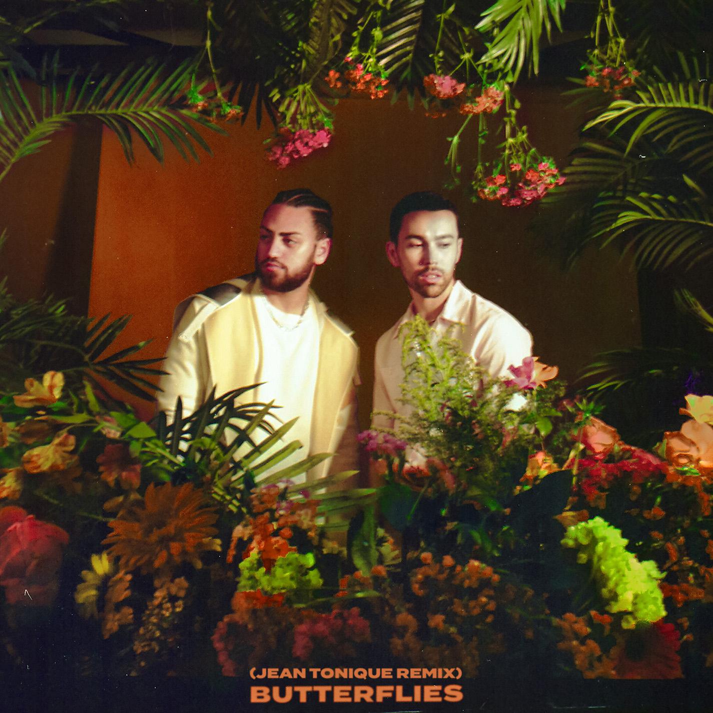 Постер альбома Butterflies (Jean Tonique Remix)