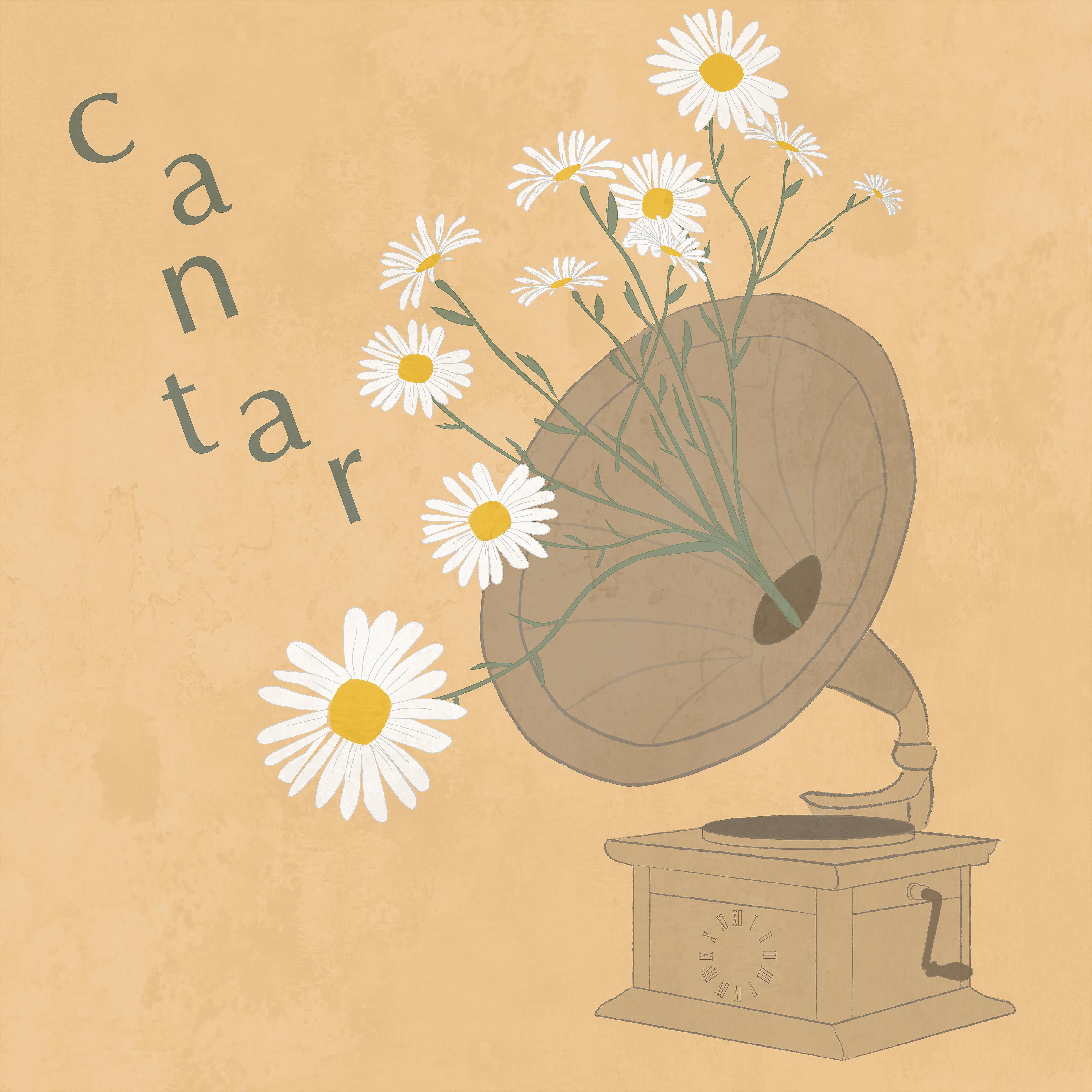 Постер альбома Cantar