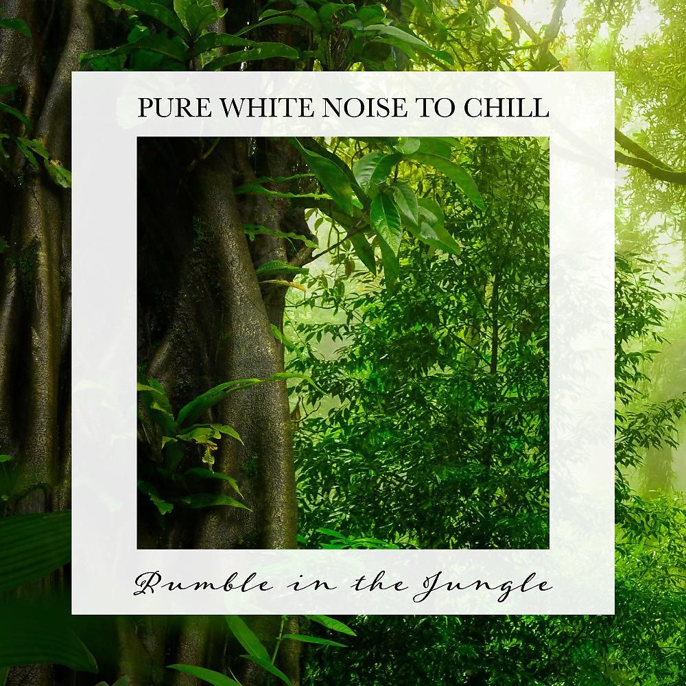 Постер альбома Rumble in the Jungle: Pure White Noise to Chill