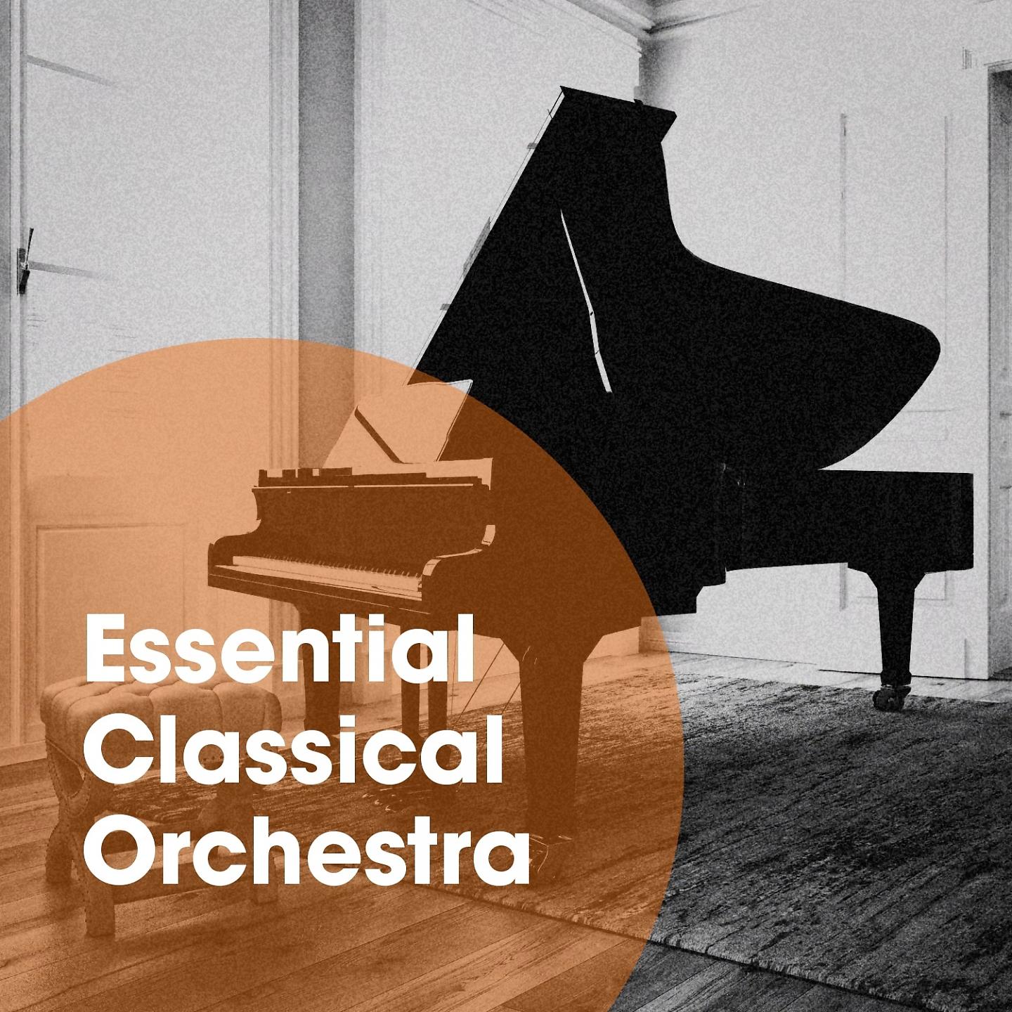 Постер альбома Essential Classical Orchestra