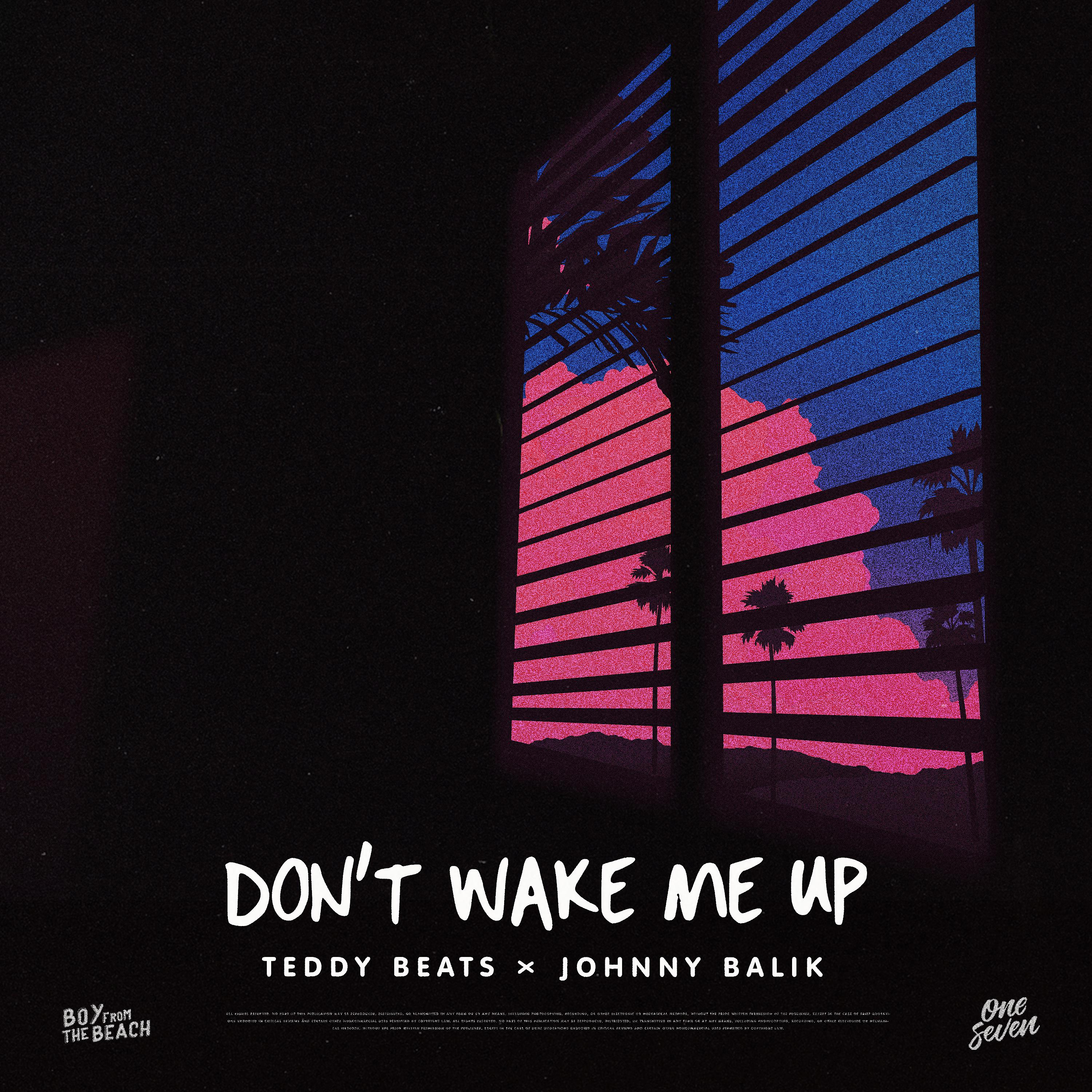 Постер альбома Don't Wake Me Up