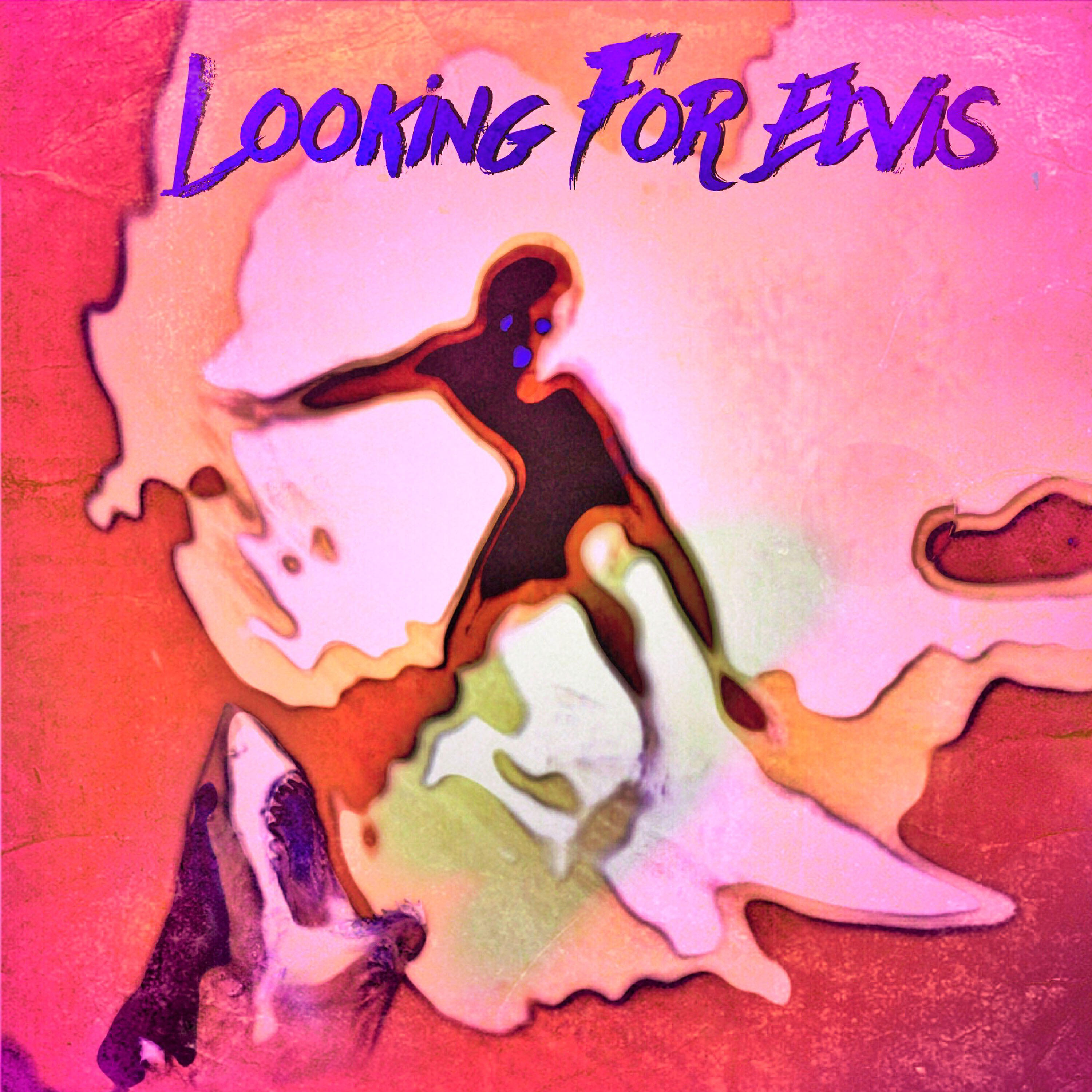 Looking For Elvis - Rosella Shooting Range