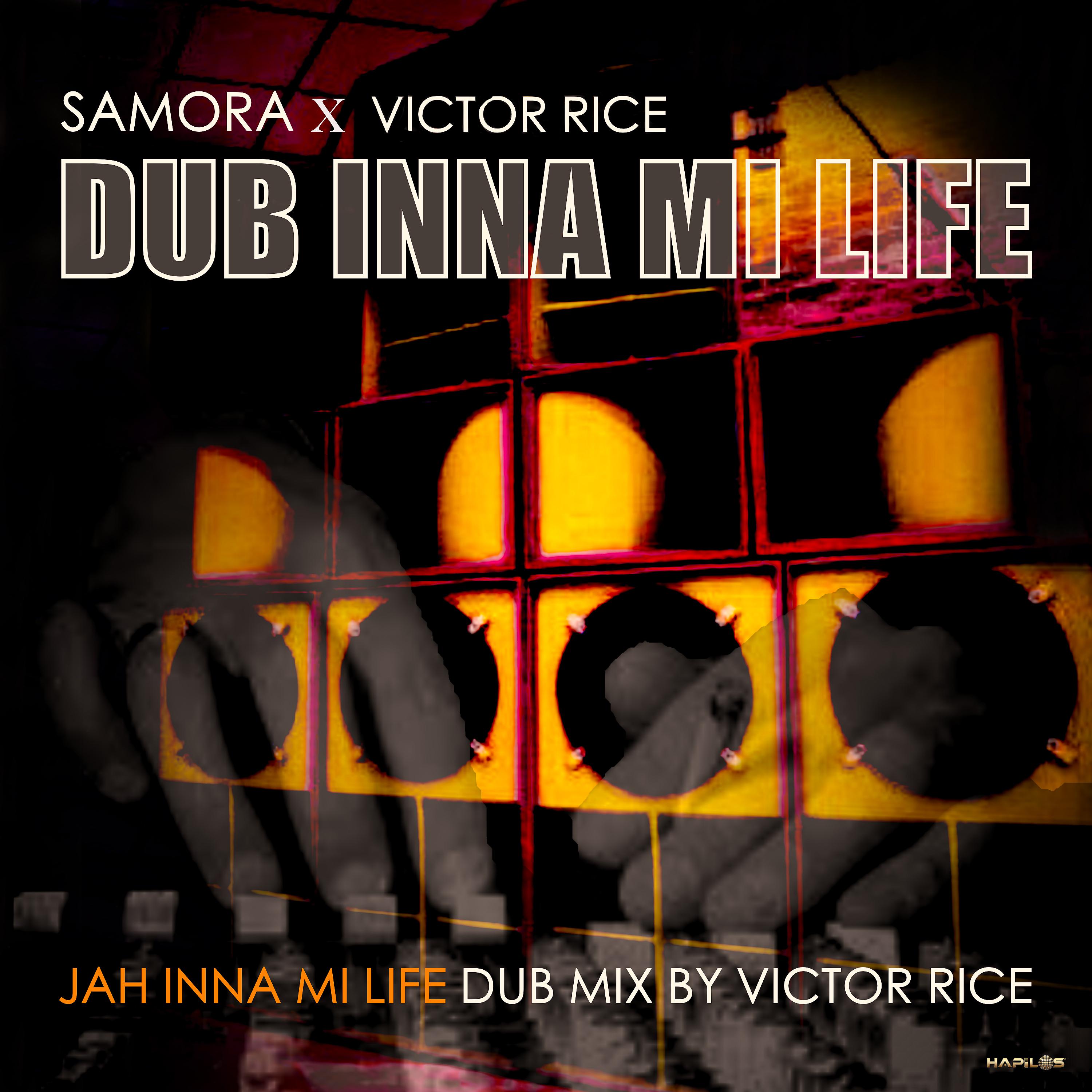 Постер альбома Dub Inna Mi Life