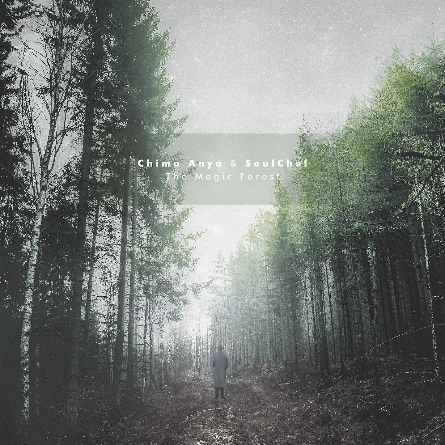 Chima Anya - The Magic Forest