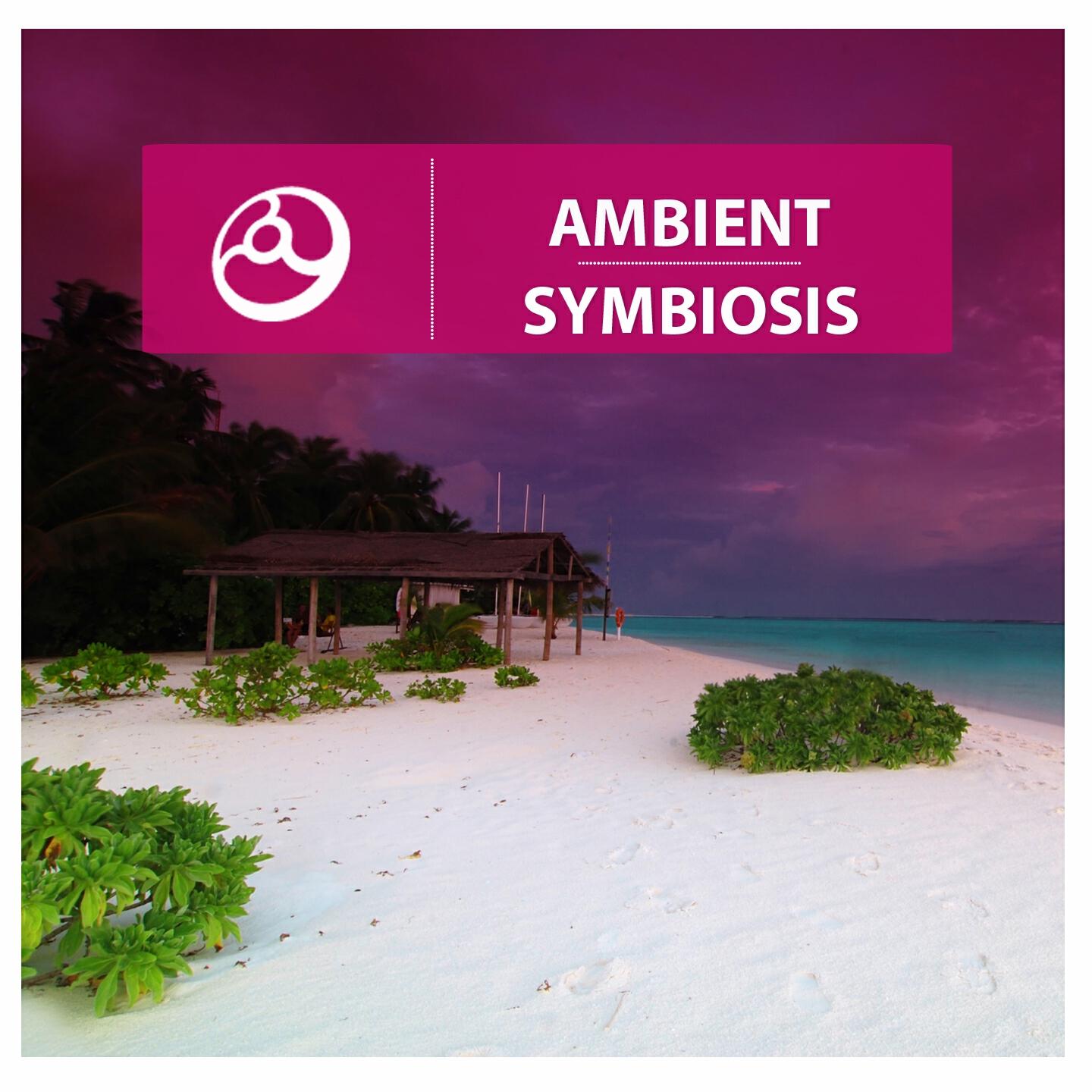 Lemonchill - Sublime (Hol Baumann Remix)