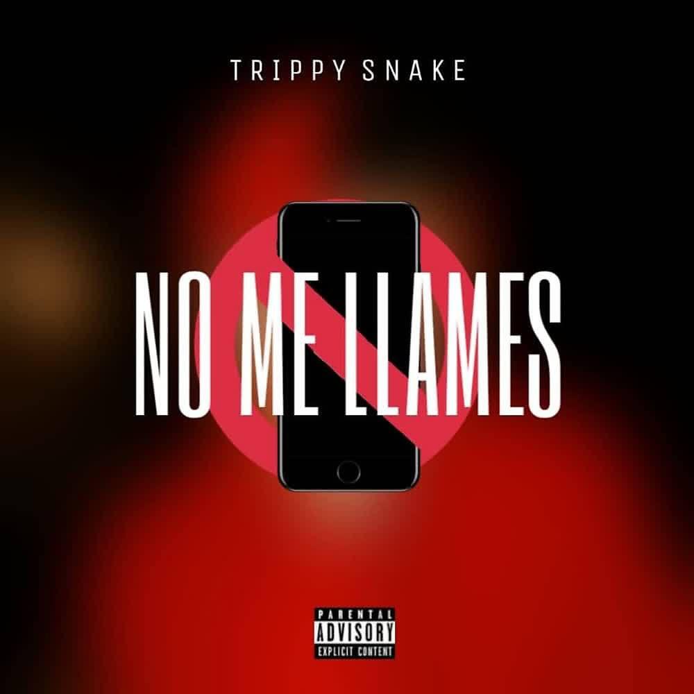 Trippy Snake - No Me Llames