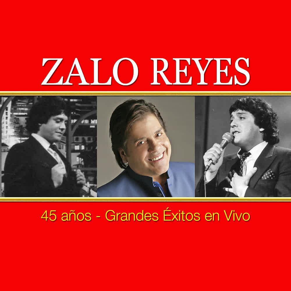 Постер альбома 45 Años Grandes Éxitos (En Vivo)