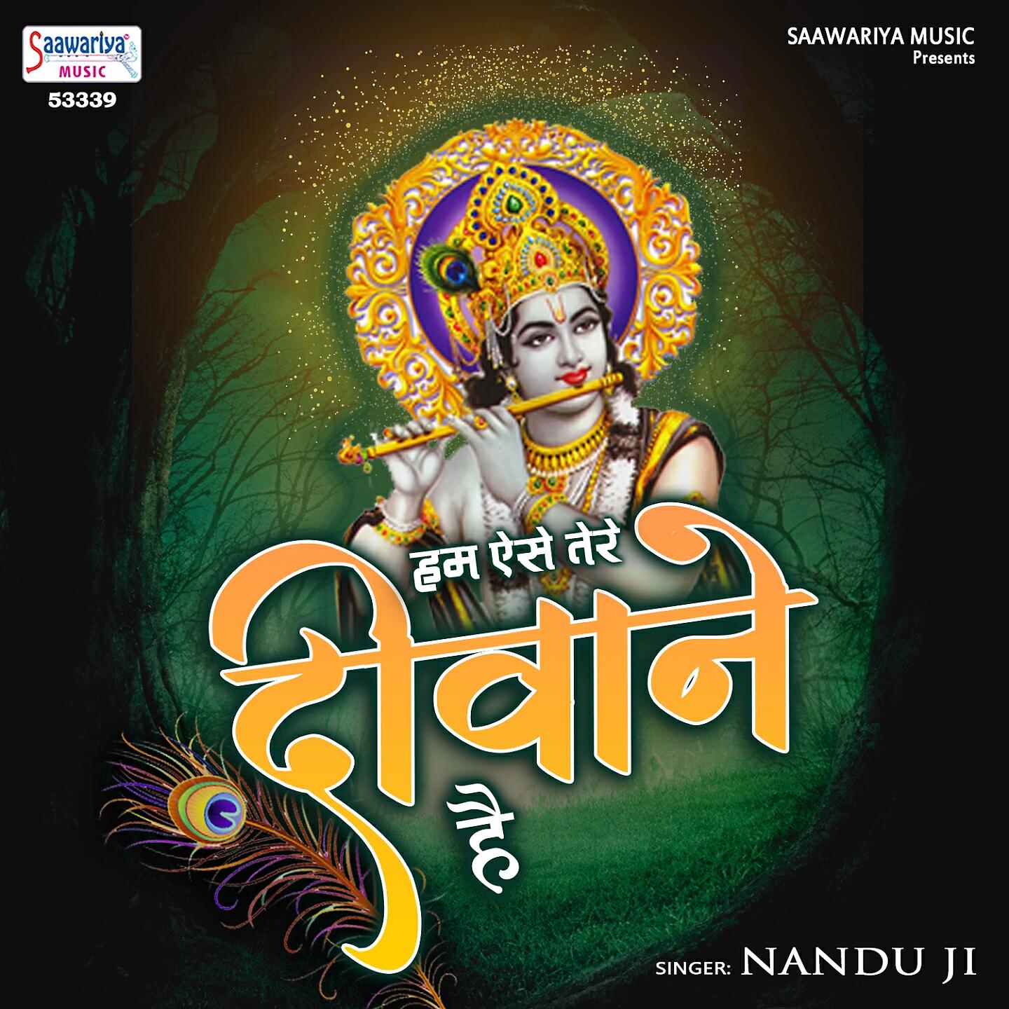 Nandu Ji - Hum Aise Tere Diwane Hai