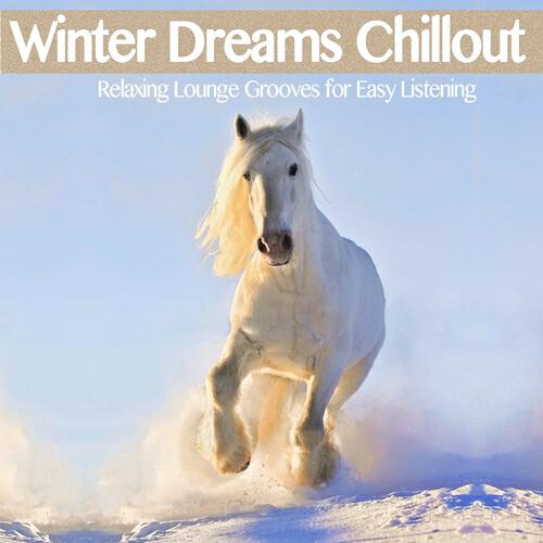 Постер альбома Winter Dreams Chillout