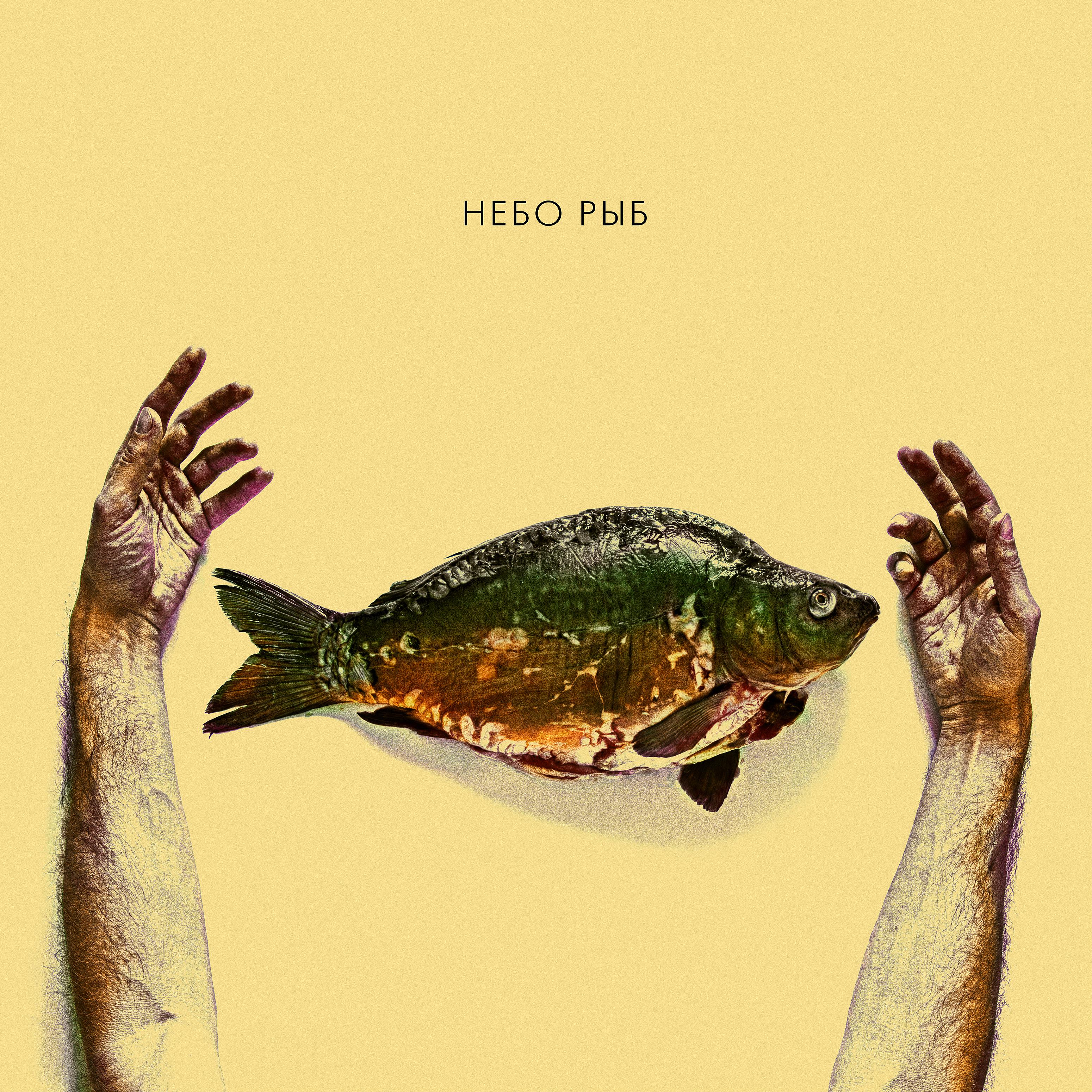 Постер альбома Небо рыб